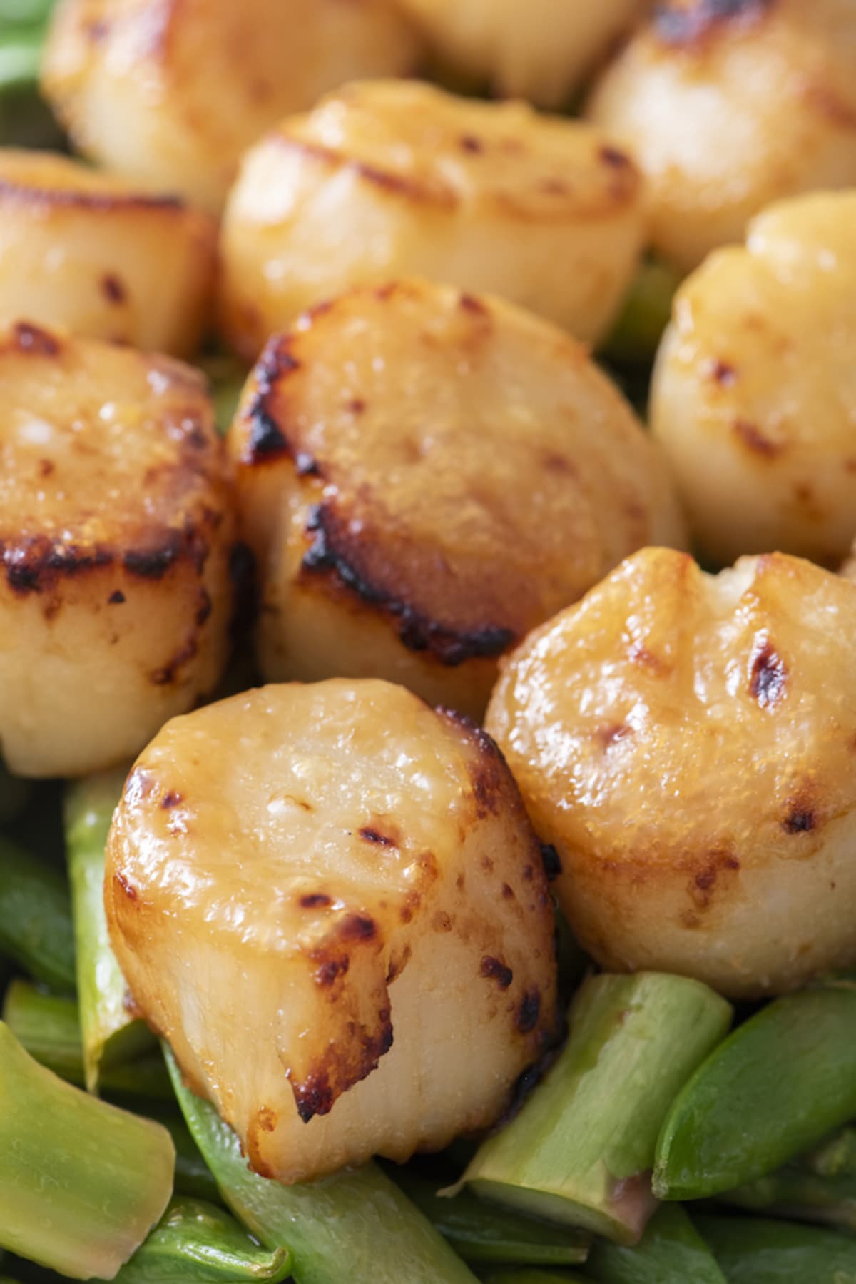 Miso Scallops