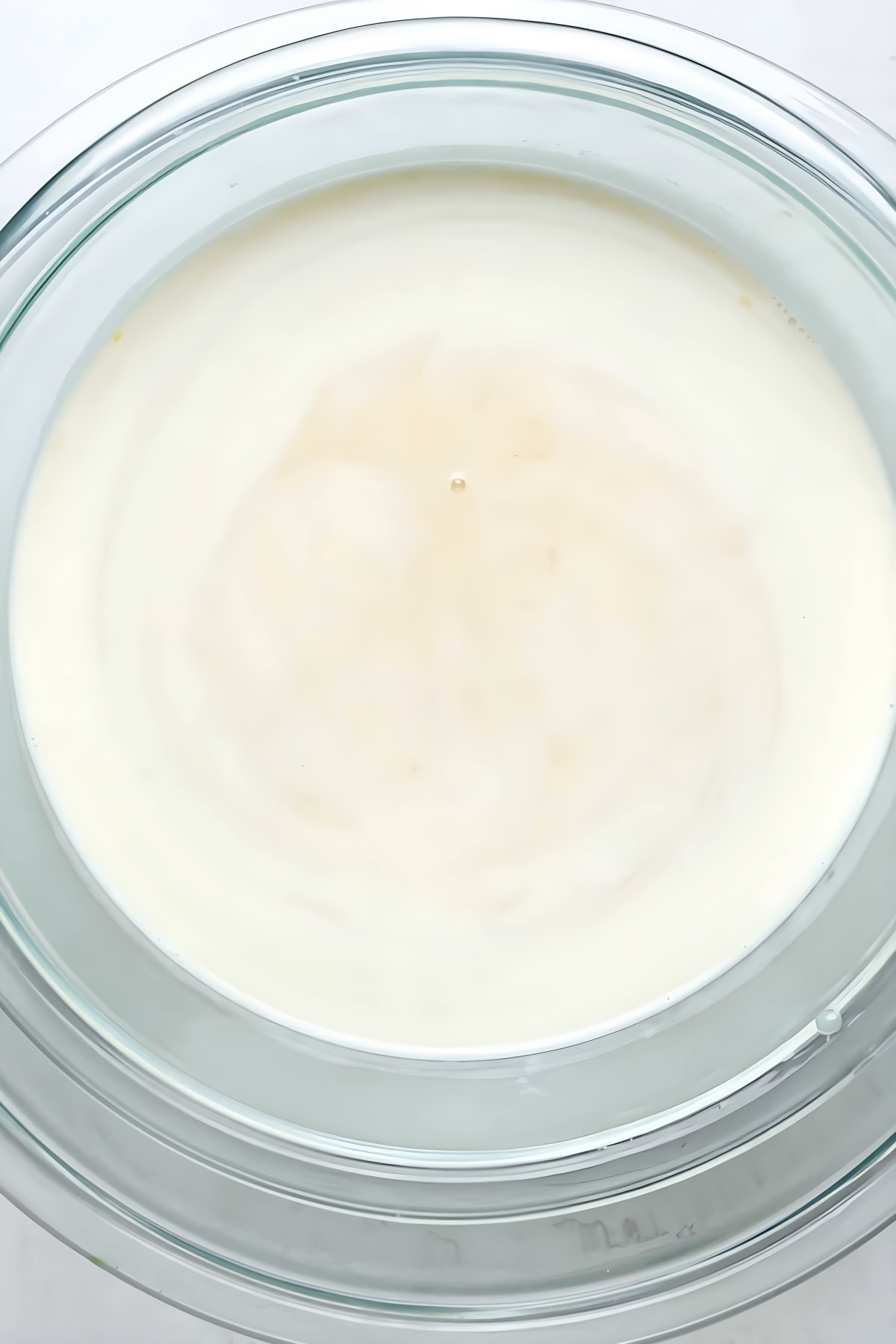 Butter Pecan Ice Cream