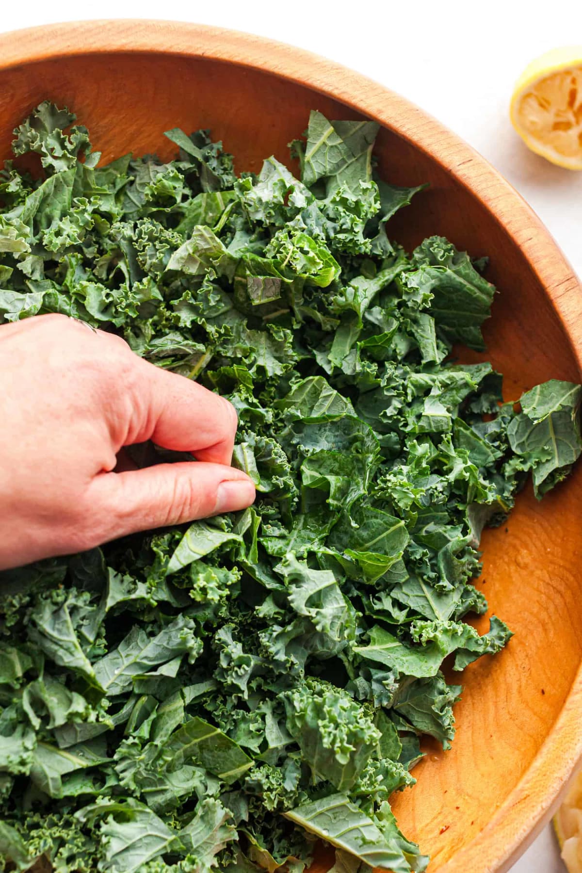 Kale and Chicken Salad