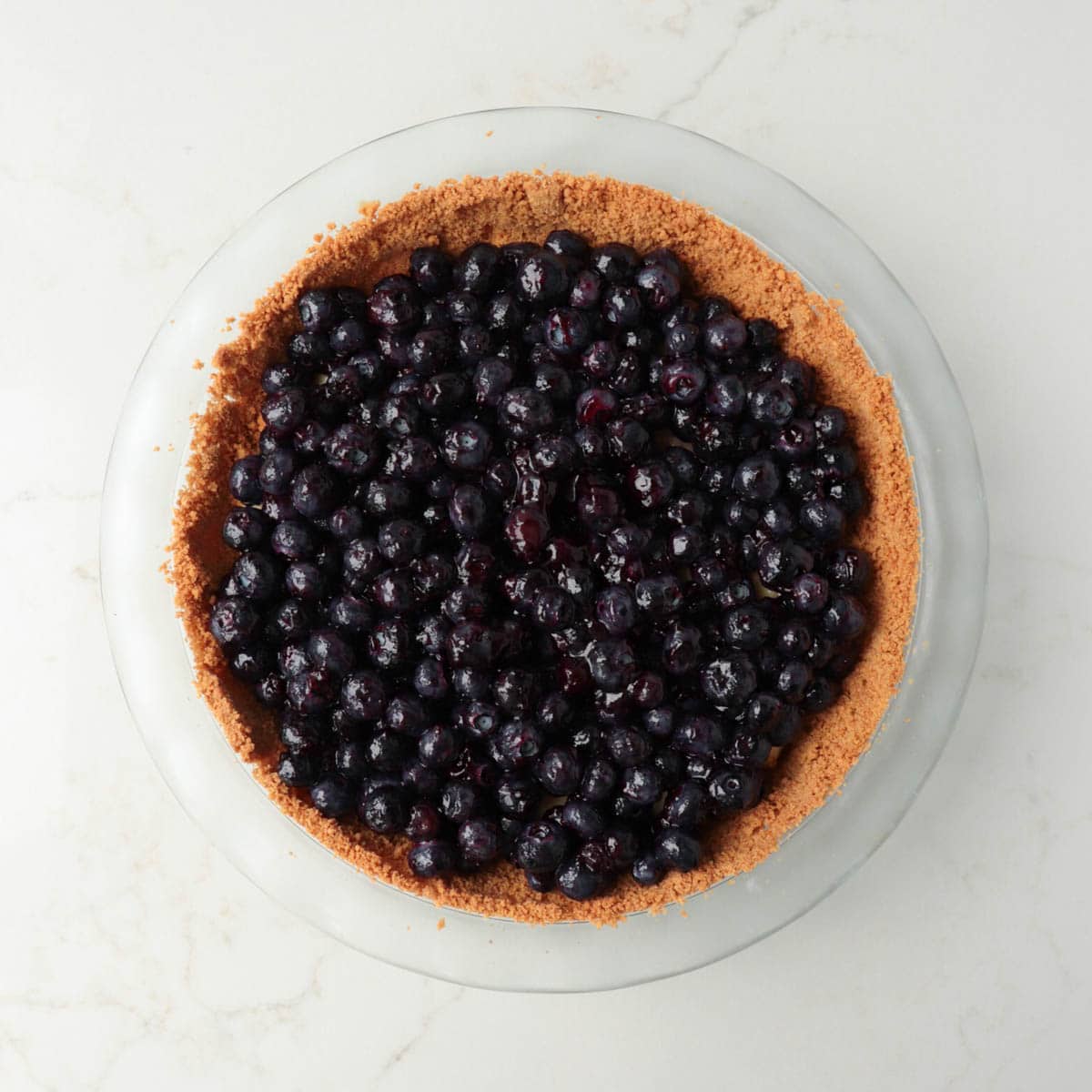 Blueberry Custard Pie