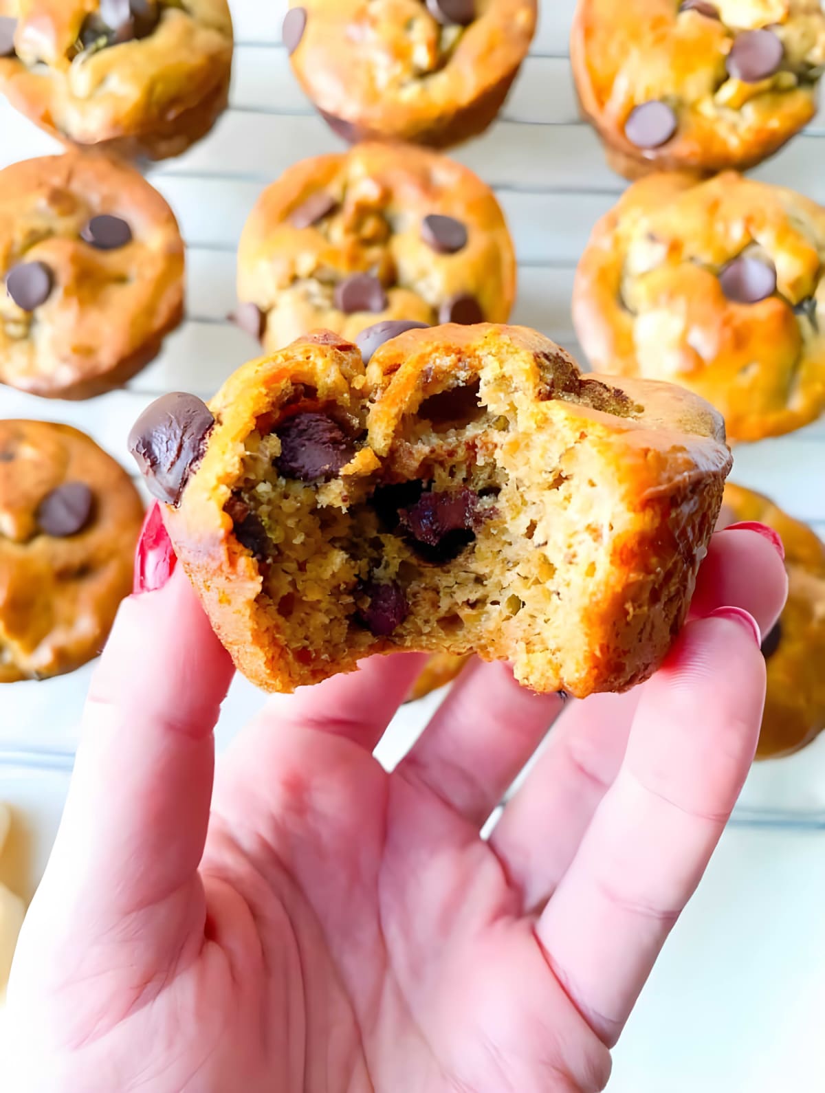 Flourless Banana Chocolate Chip Muffins