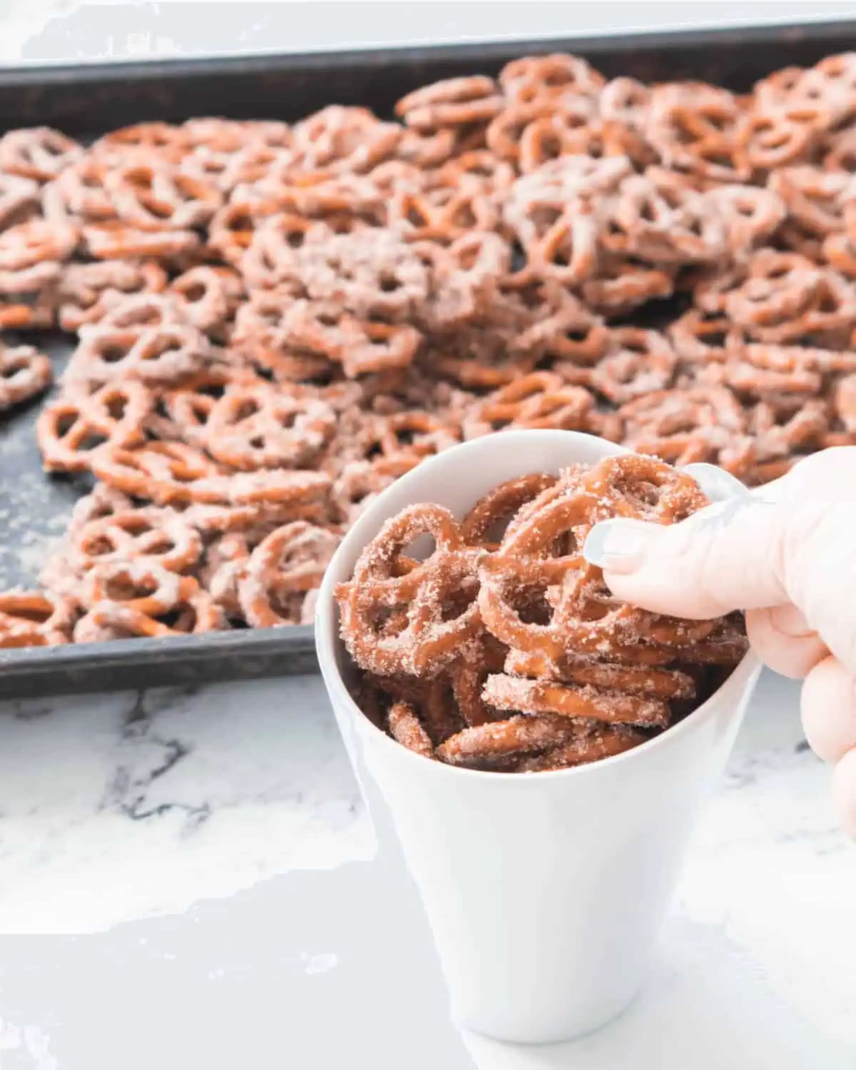 Cinnamon Sugar Pretzels