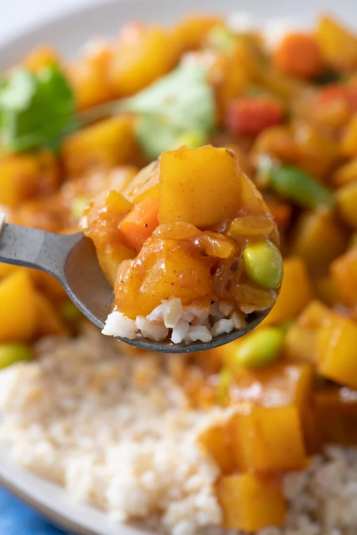 Japanese Vegetable Curry