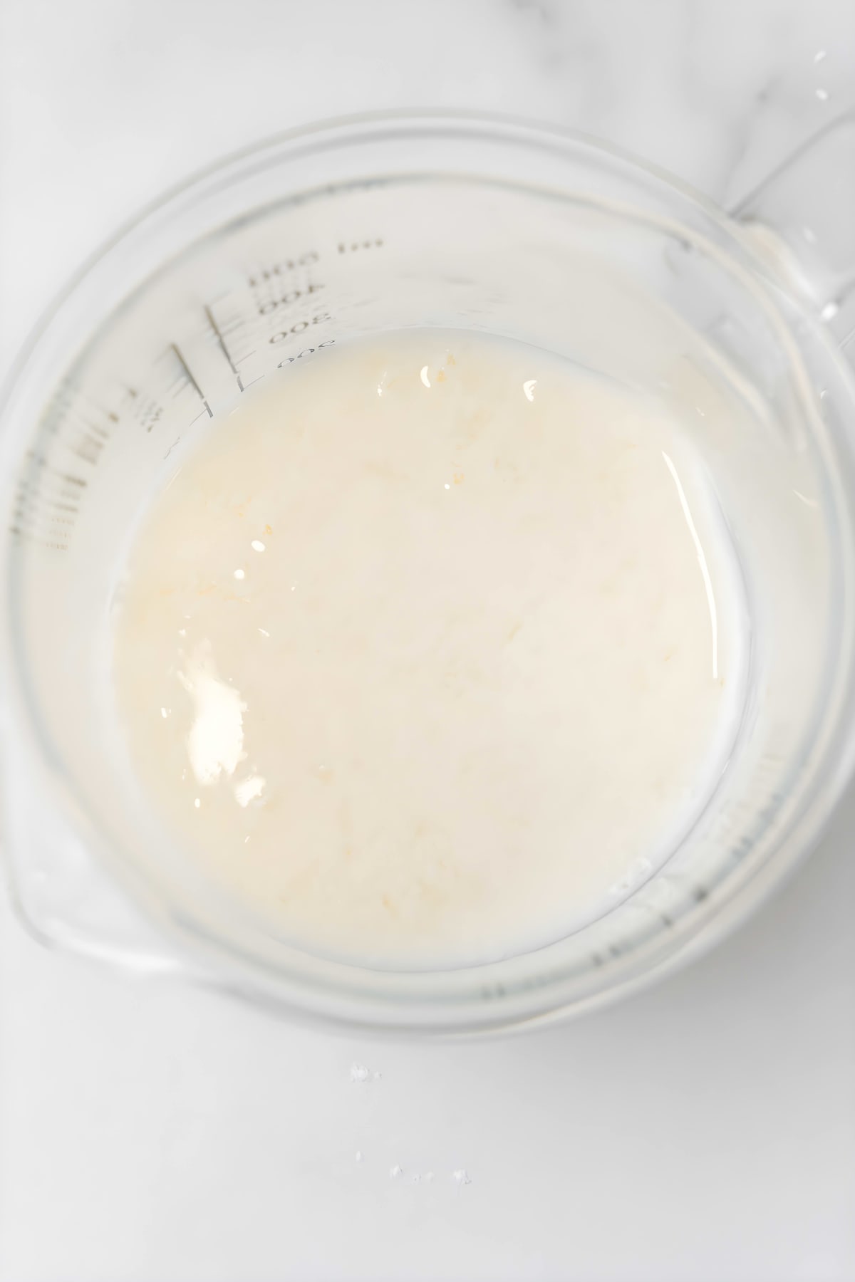 Gluten Free Biscuits