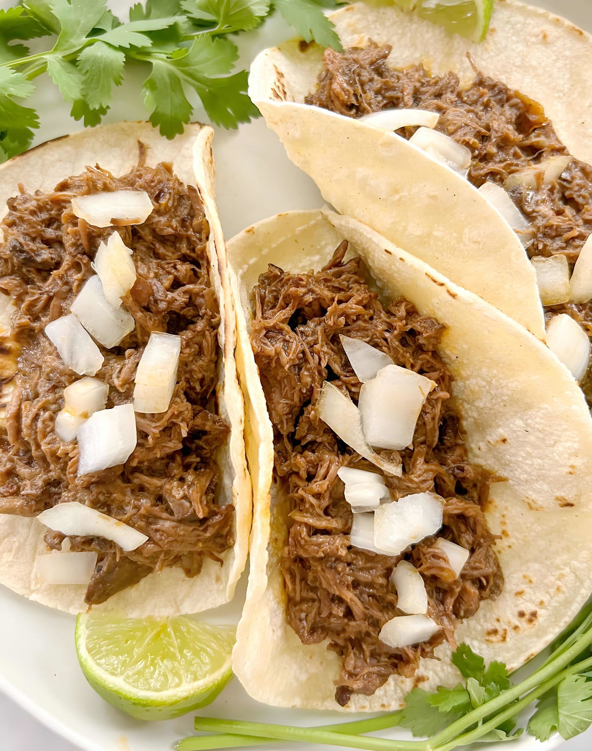 Barbacoa Street Tacos