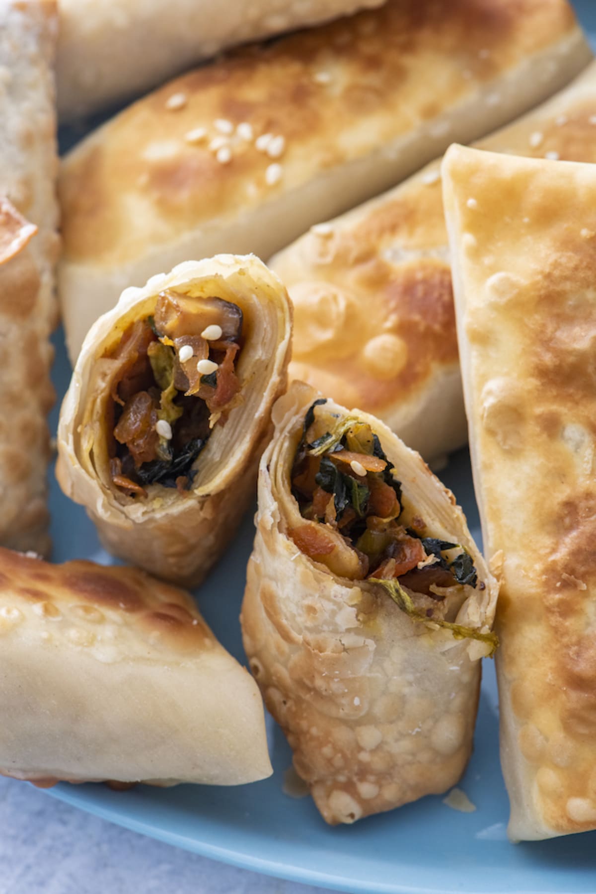 Vegetarian Spring Rolls