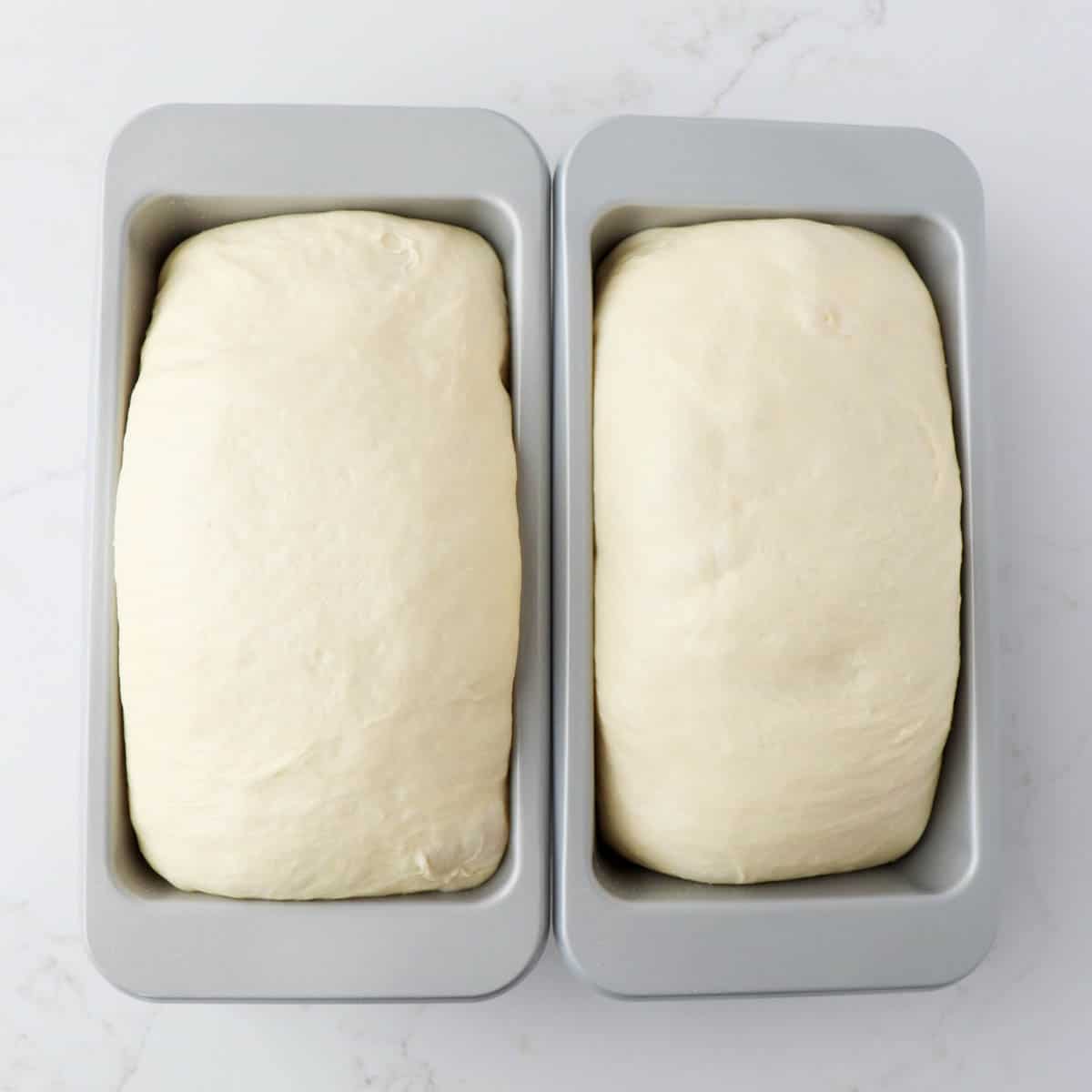 6-ingredient White Sandwich Bread