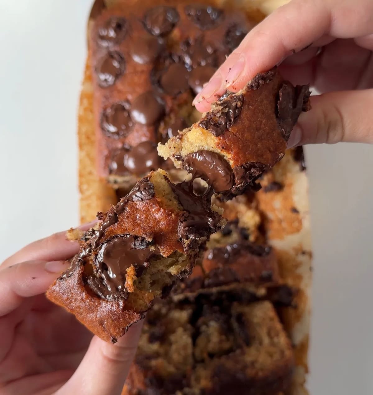 Brown Butter Chocolate Chip Banana Bread