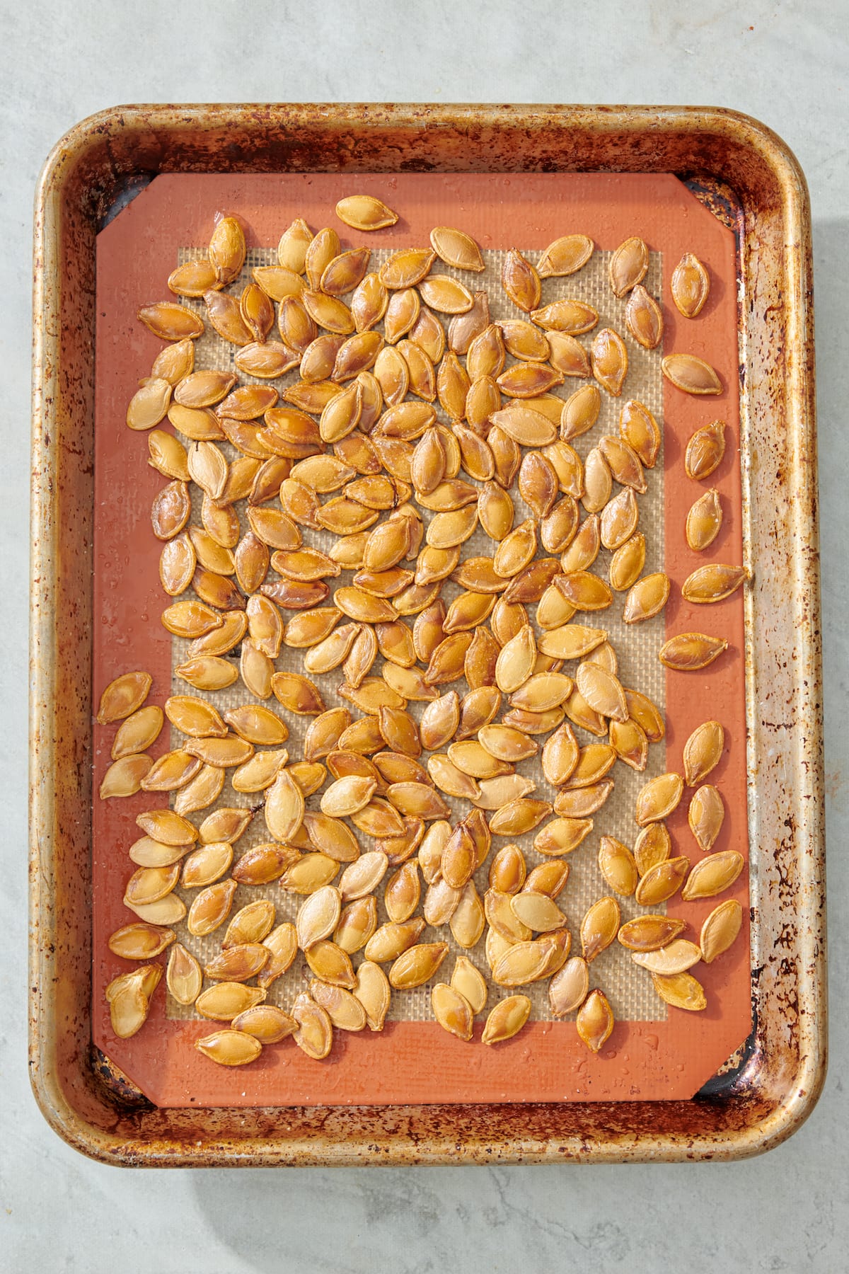 Toasted Pumpkin Seeds