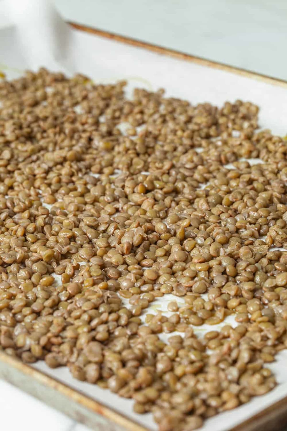 Crispy Roasted Lentils