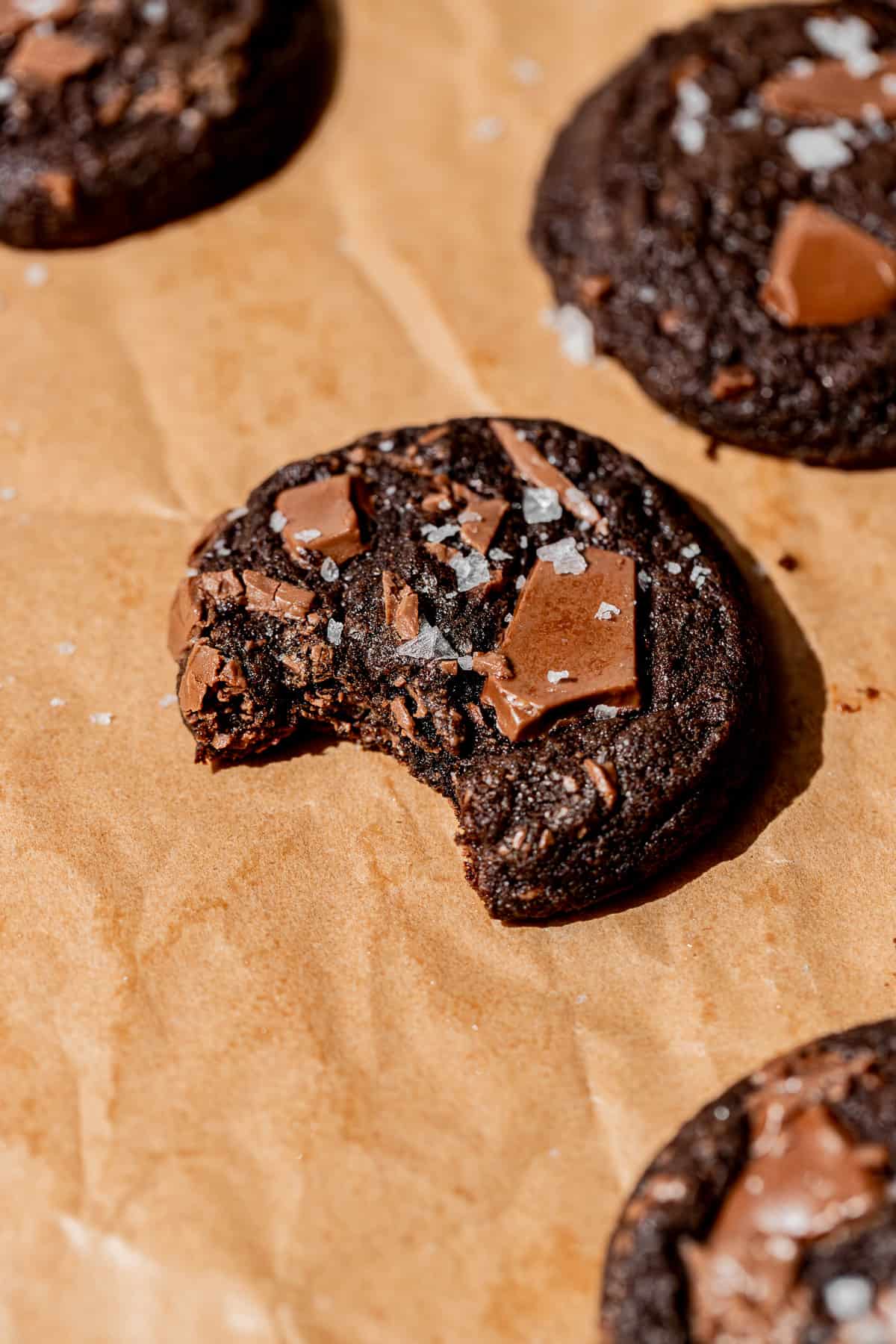 Soft Double Chocolate Chip Cookies