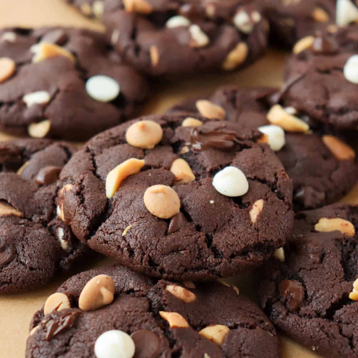 Peanut Butter Chocolate Cookies