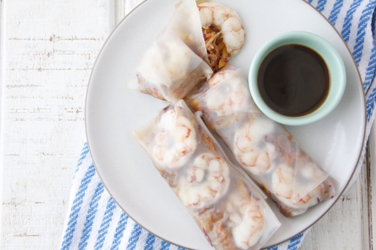 Asian Slaw Spring Rolls