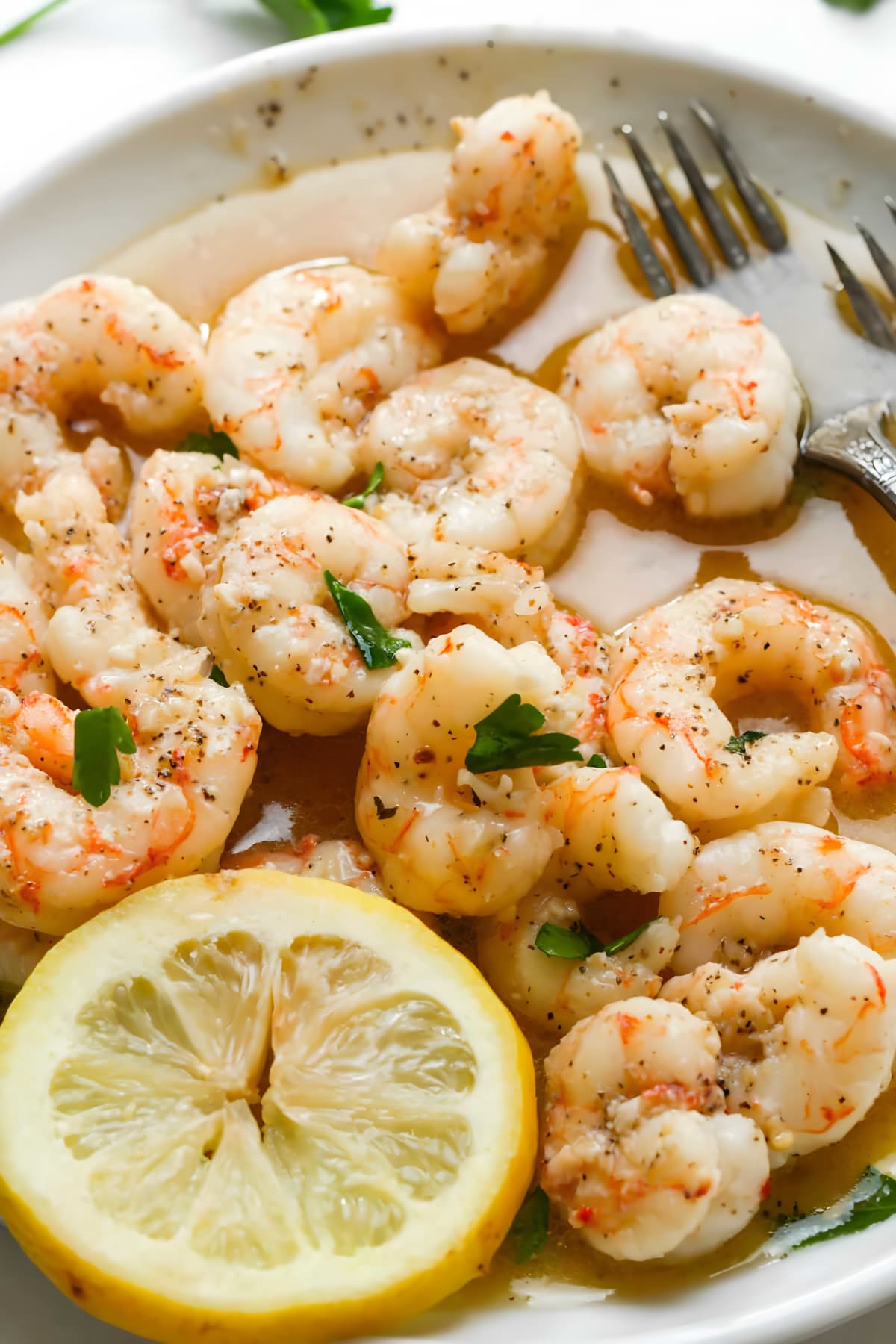 Argentine Red Shrimp Recipe