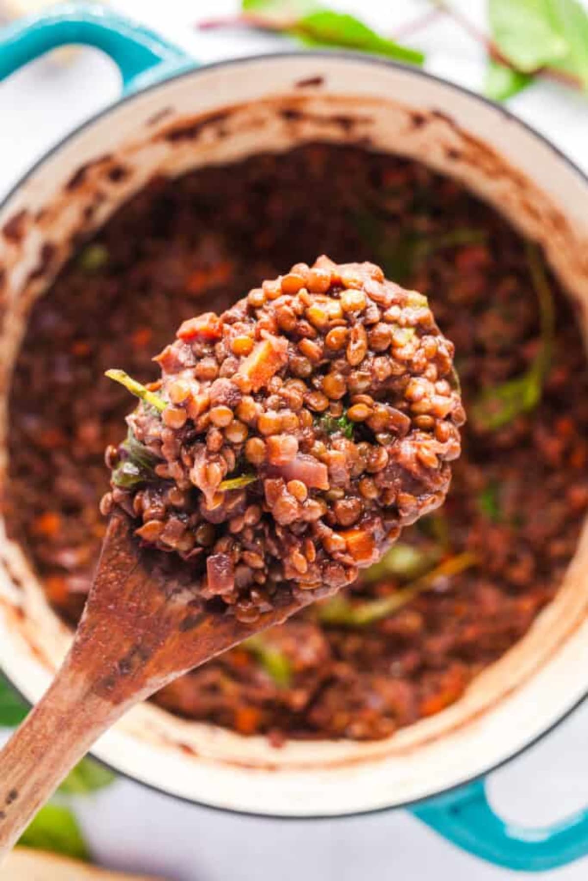 French Lentils Braised in Red Wine and Caramelized Onions