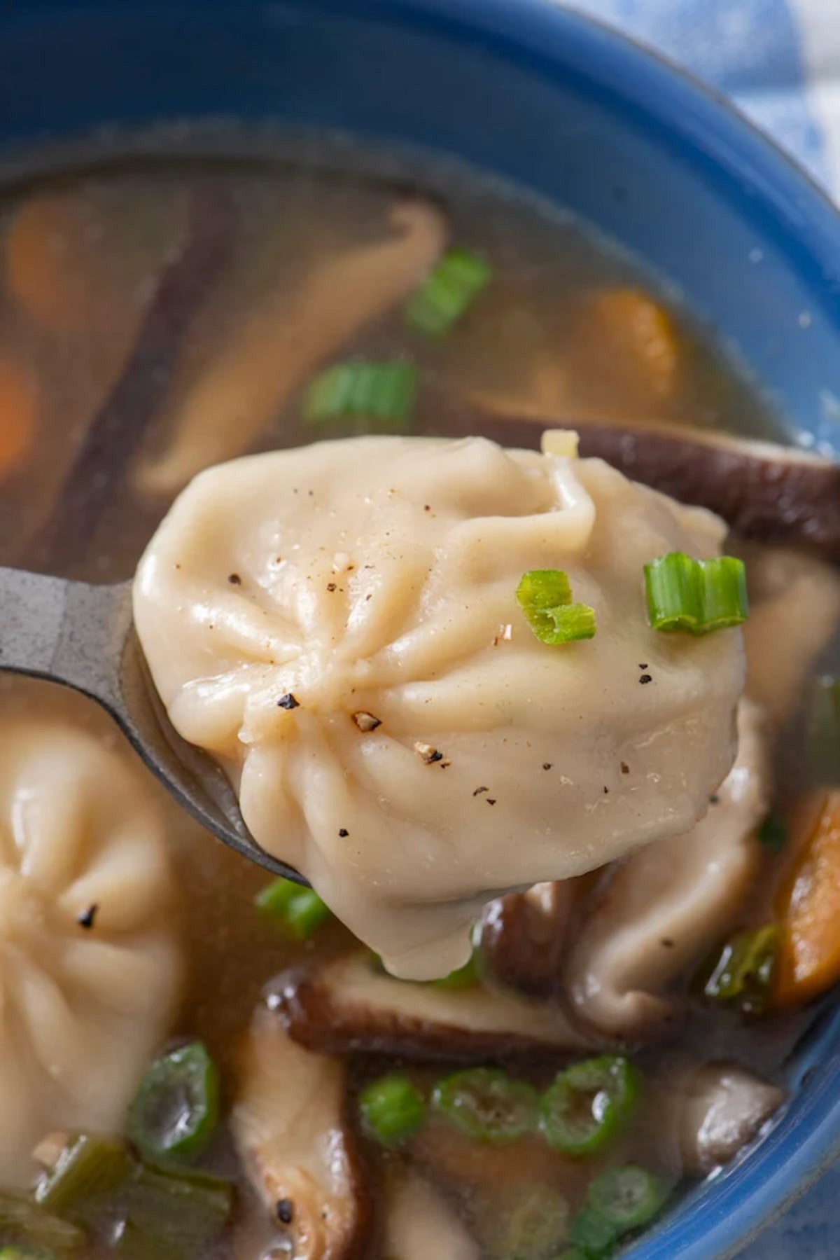 Dumpling Soup