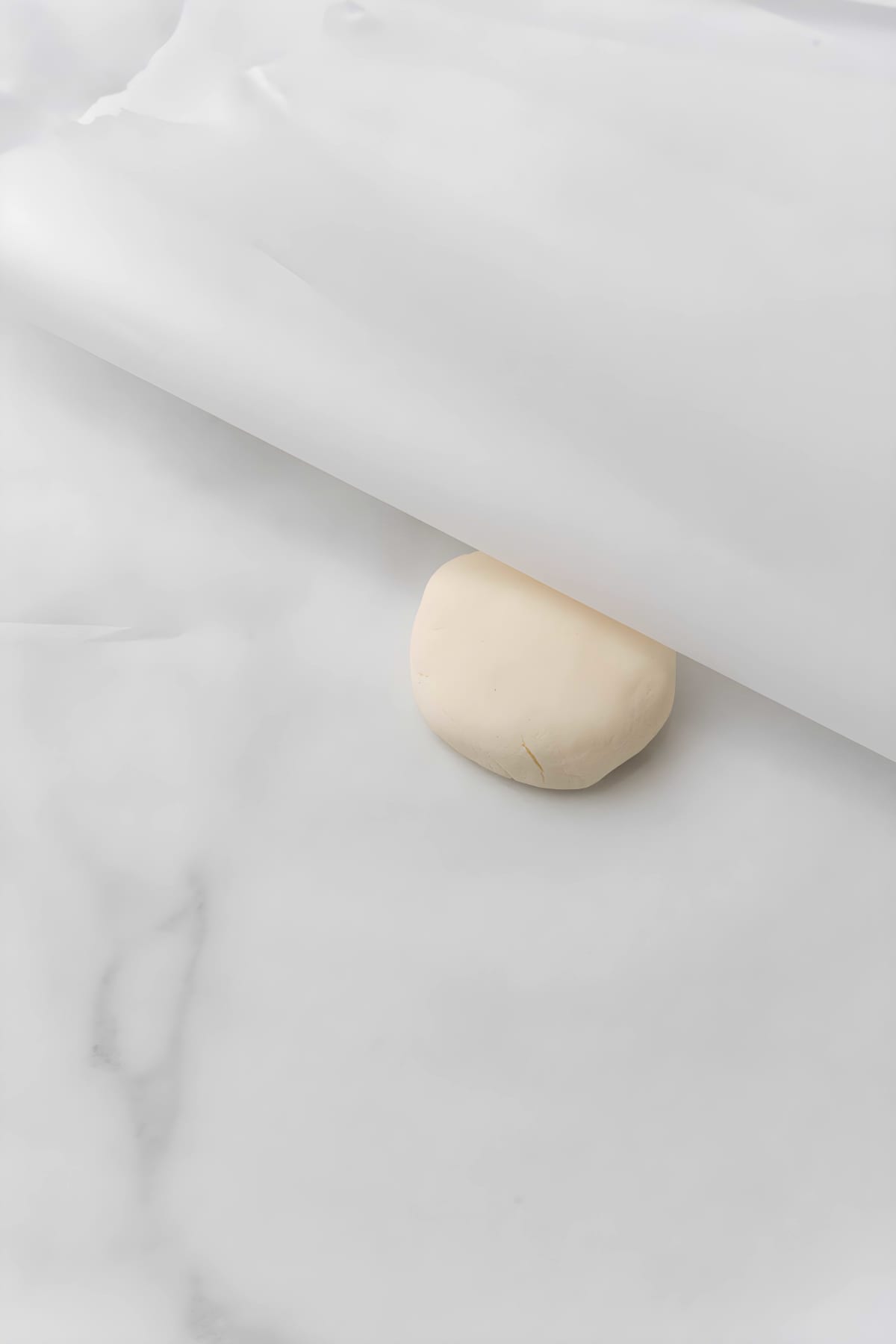 Gluten Free Tortillas