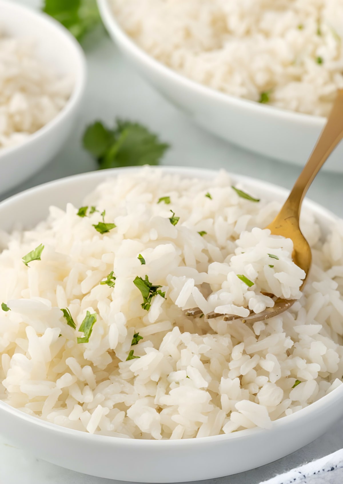 Coconut Rice Recipe