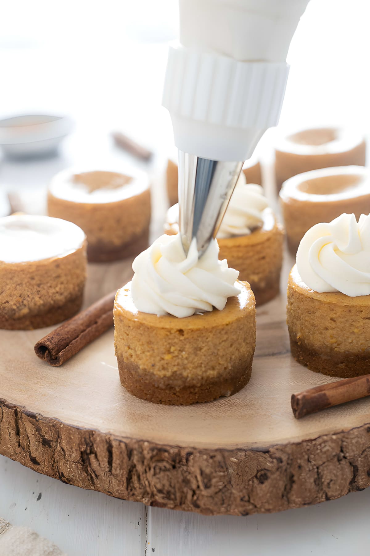 Mini Pumpkin Cheesecake Recipe