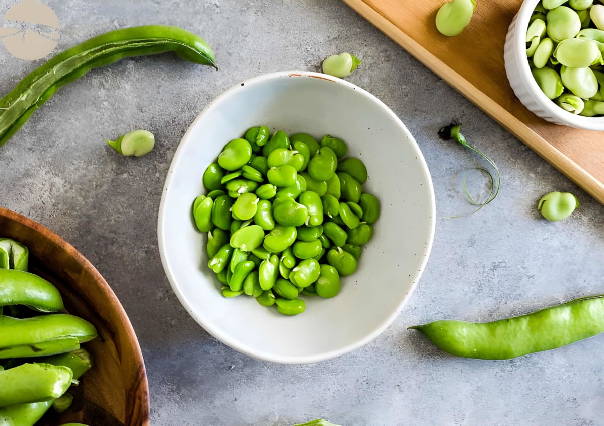 How To Cook Fava Beans