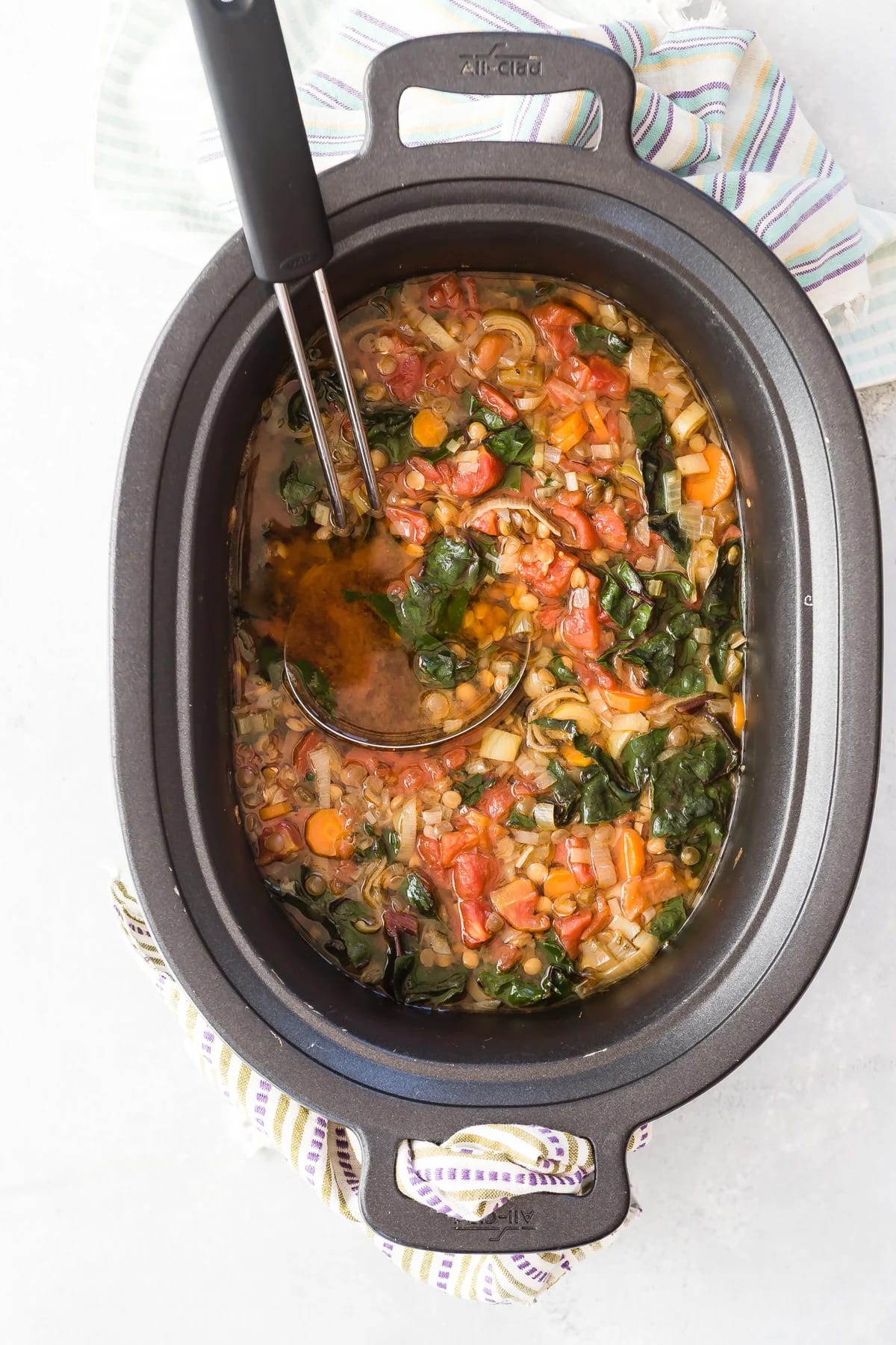 Crock Pot Lentil Veggie Stew