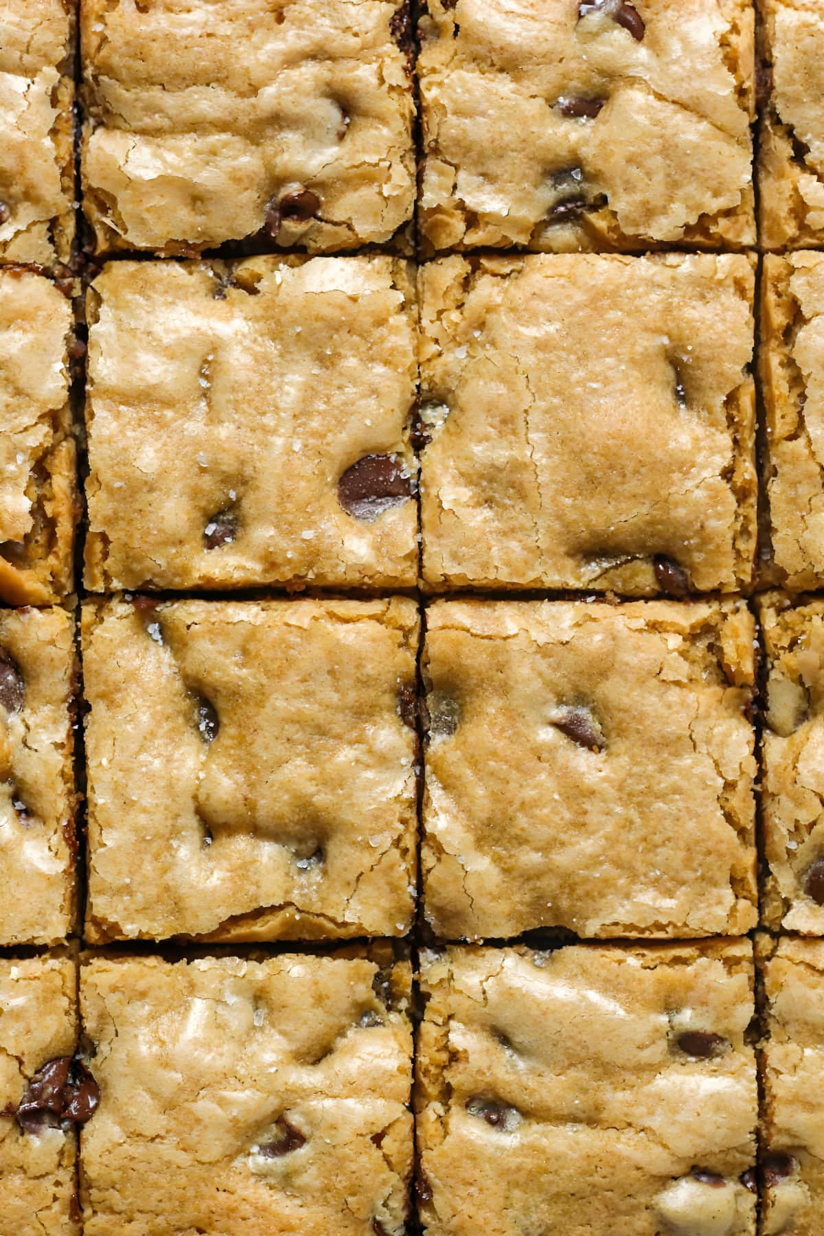 Gluten Free Blondies