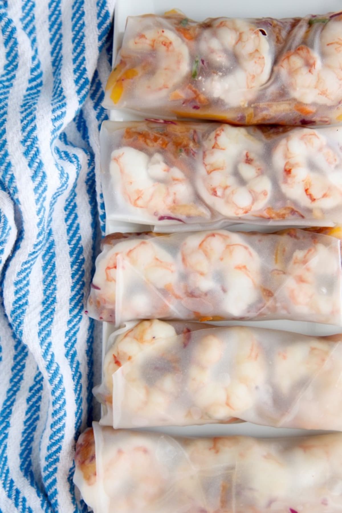 Asian Slaw Spring Rolls