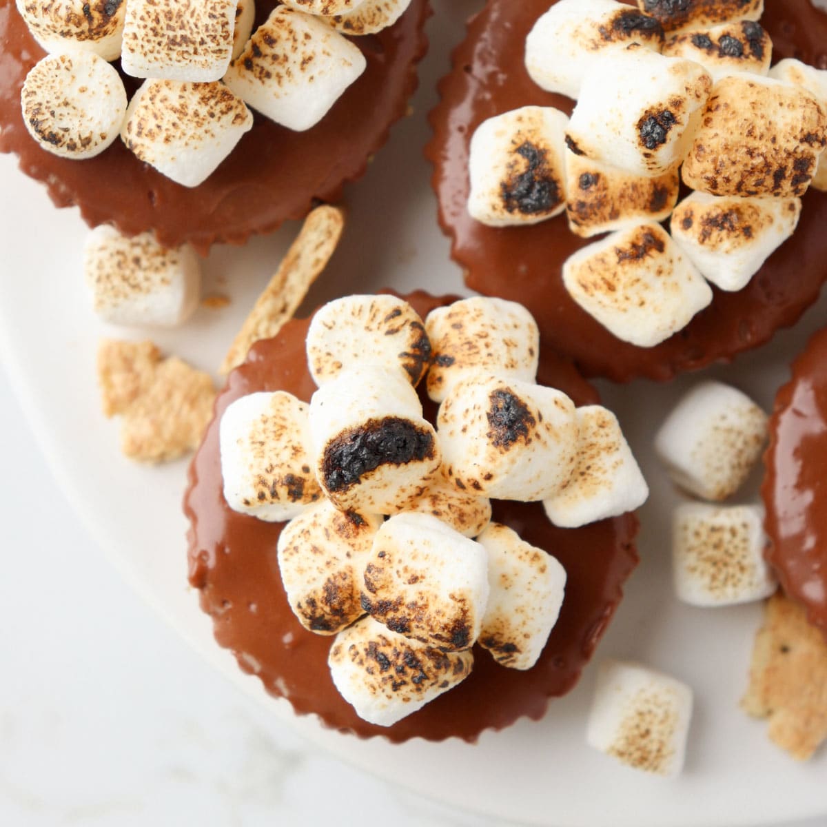 No-Bake Mini S'mores Cheesecakes