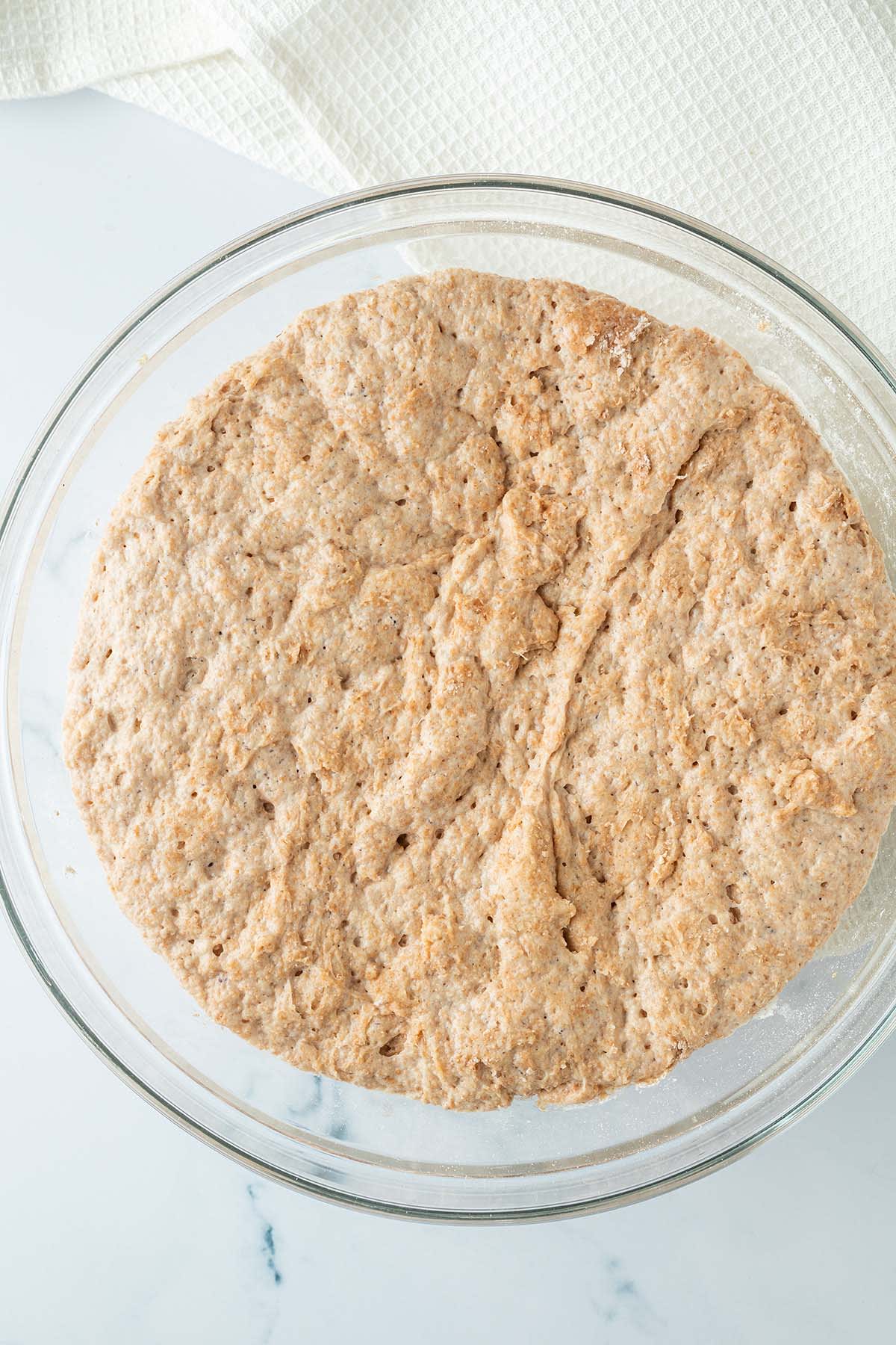 Whole-Grain Spelt Rolls