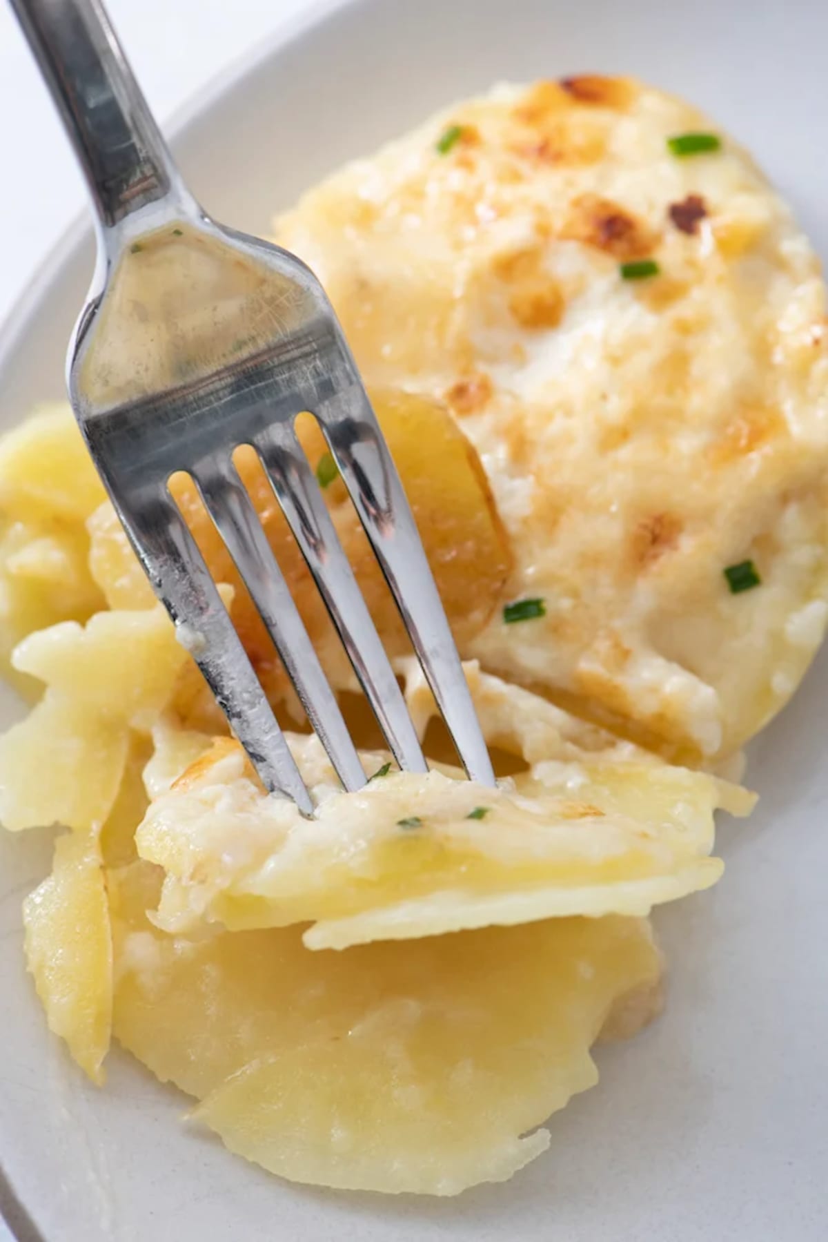 Golden Potato Gratin
