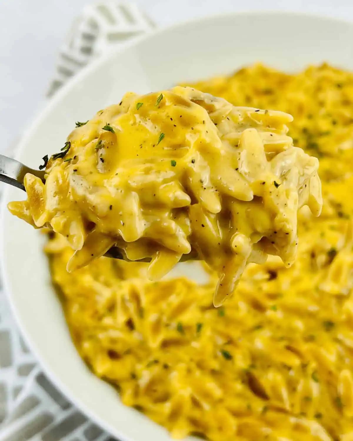 Orzo Mac and Cheese