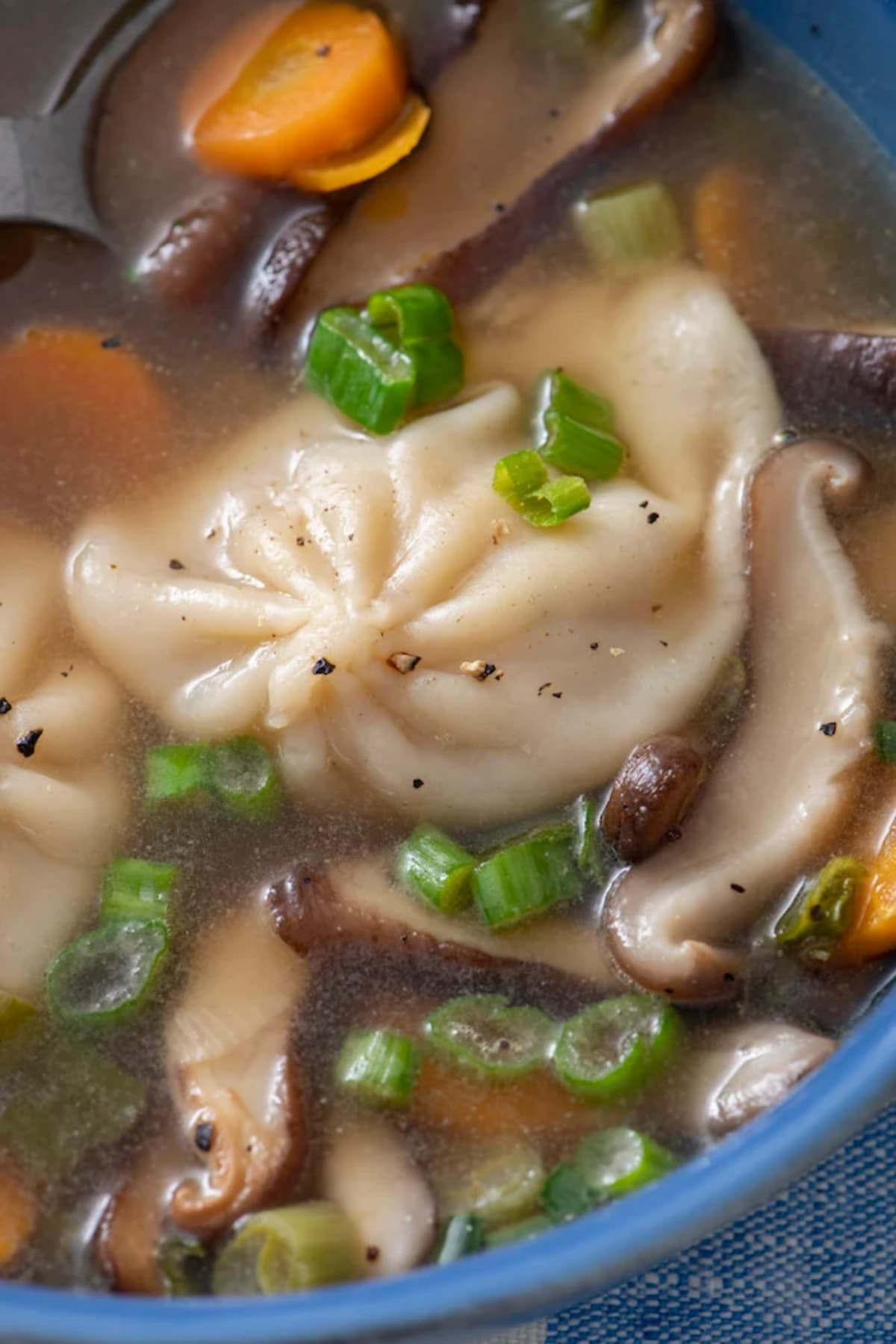 Dumpling Soup