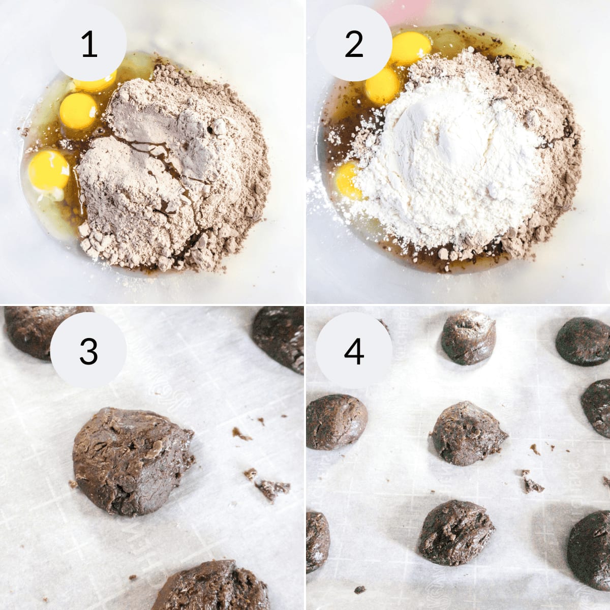 Hot Cocoa Cookies Recipe