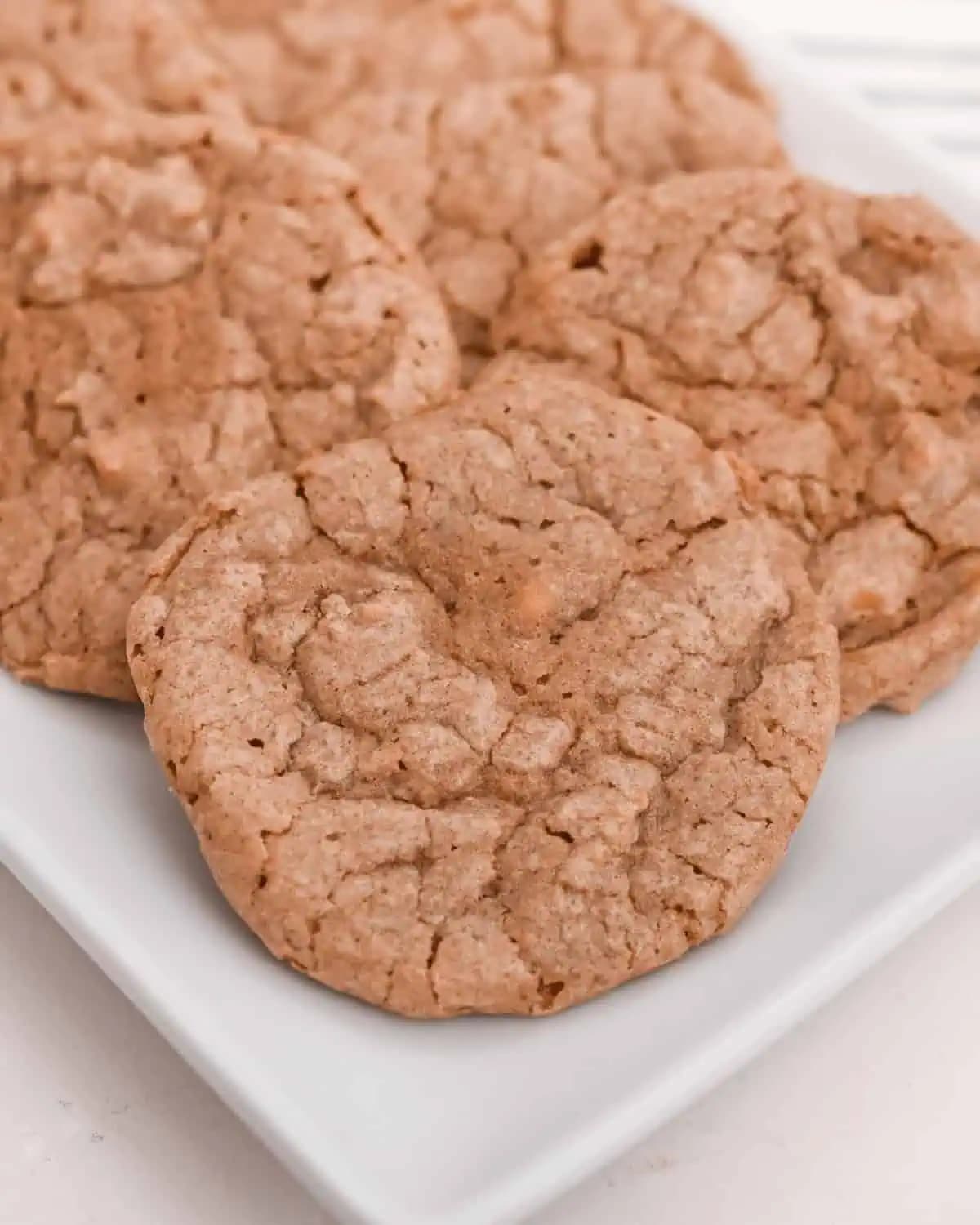 Vintage Chocolate Peanut Butter Cookies