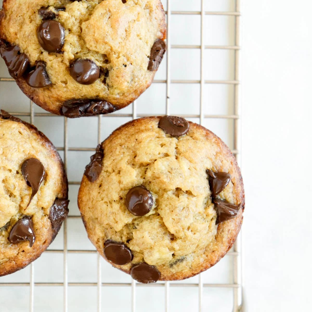 Chocolate Chip Banana Muffins