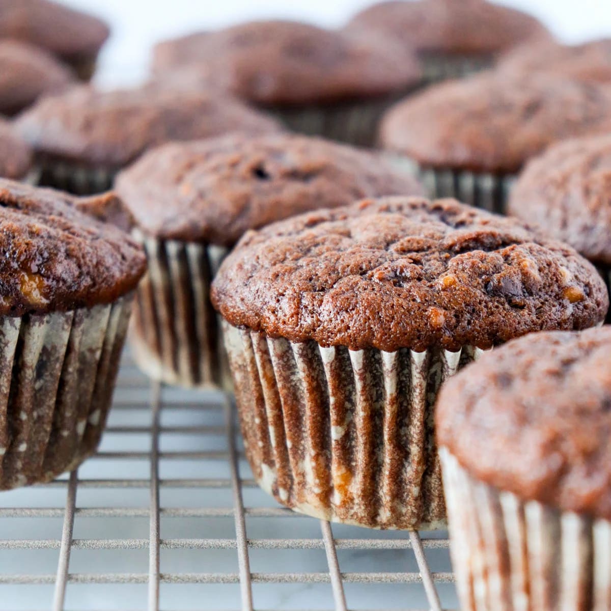Double Chocolate Banana Muffins
