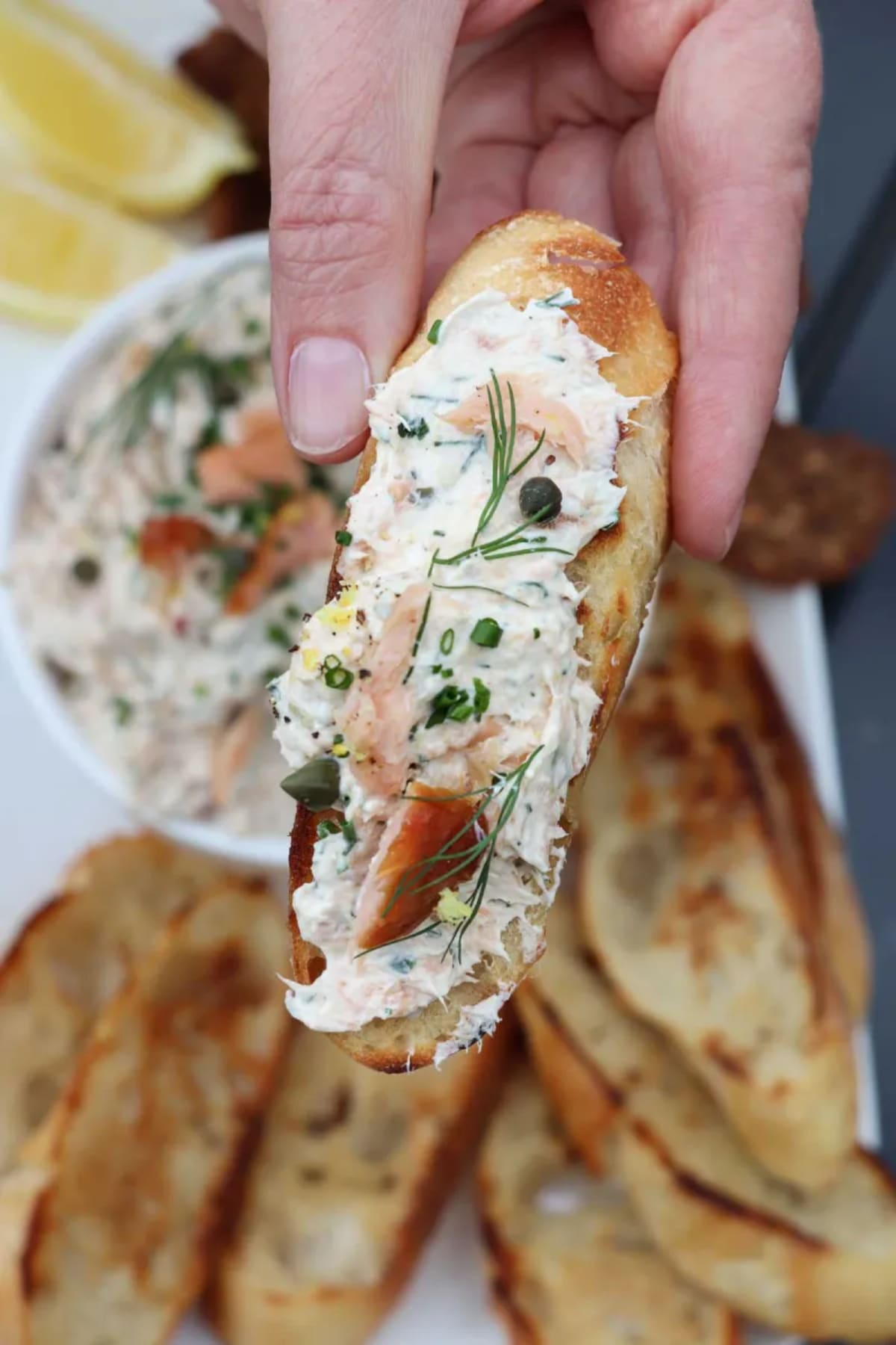Easy Smoked Salmon Dip (Ready in 10 Minutes!)