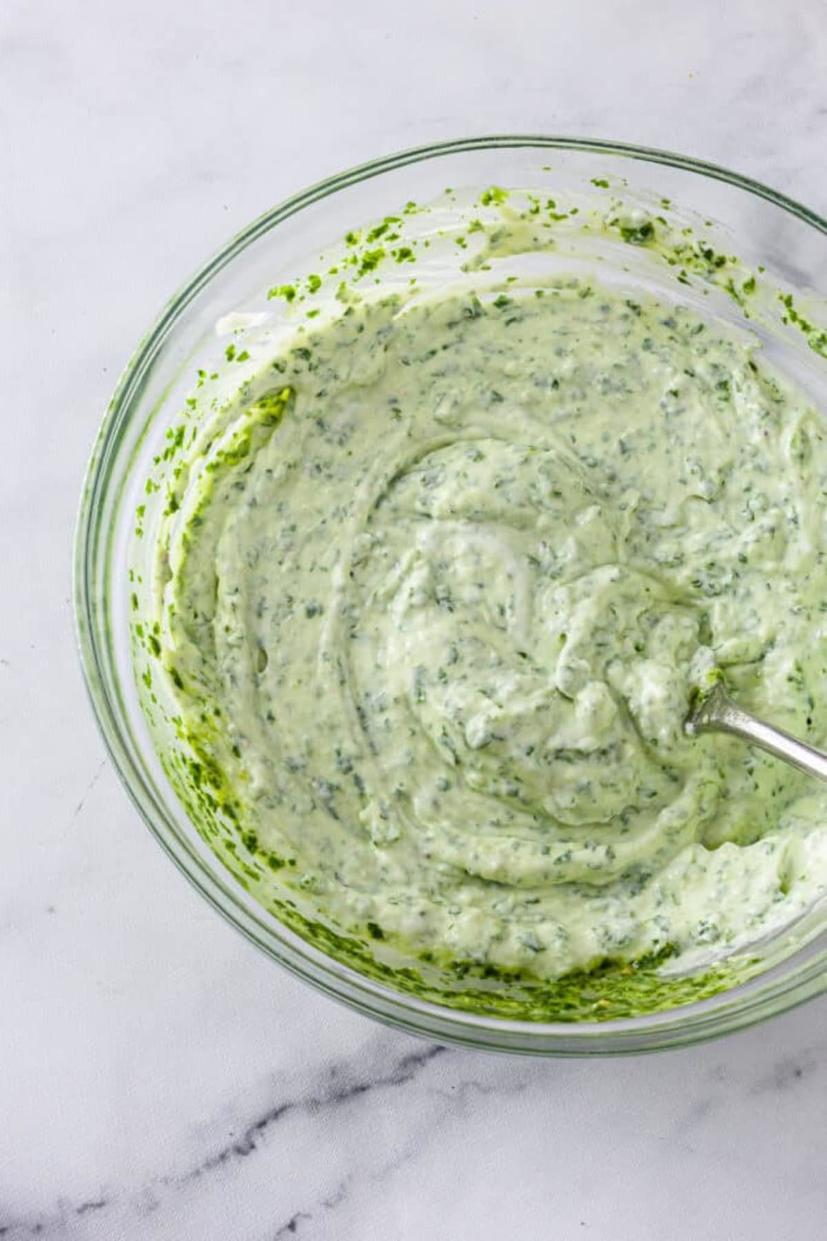 Cilantro Garlic Sauce