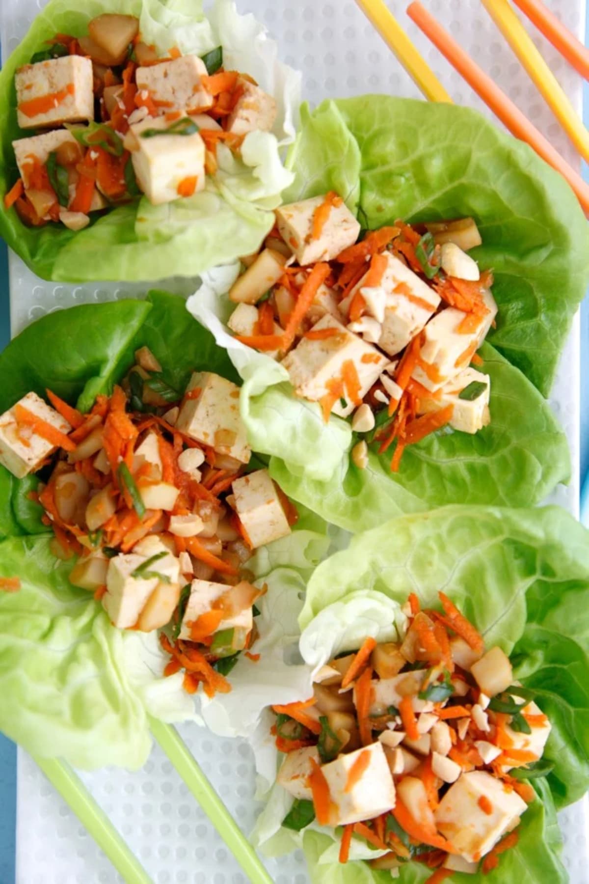 Vegetarian Lettuce Wraps