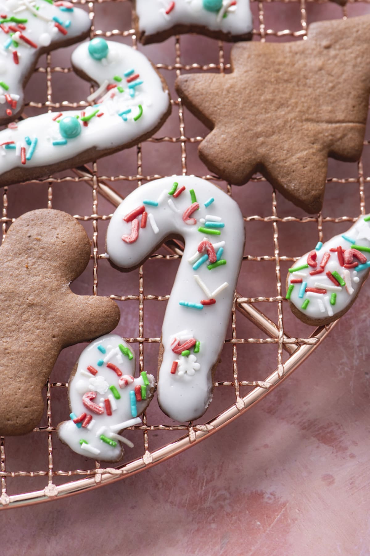 Chocolate Orange Snaps