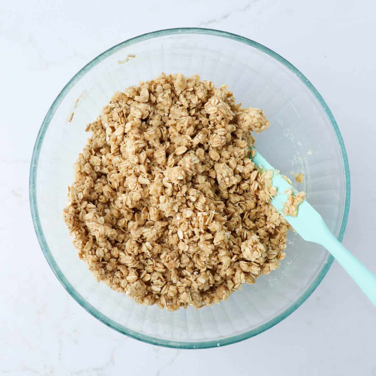 Raspberry Oatmeal Crumble Bars