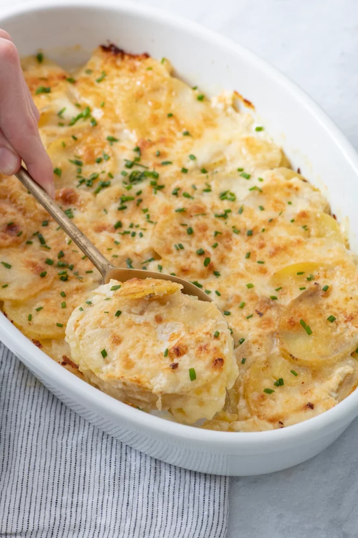 Golden Potato Gratin
