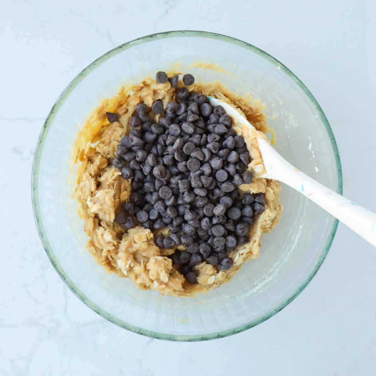 Chocolate Chip Oatmeal Cookie Bars