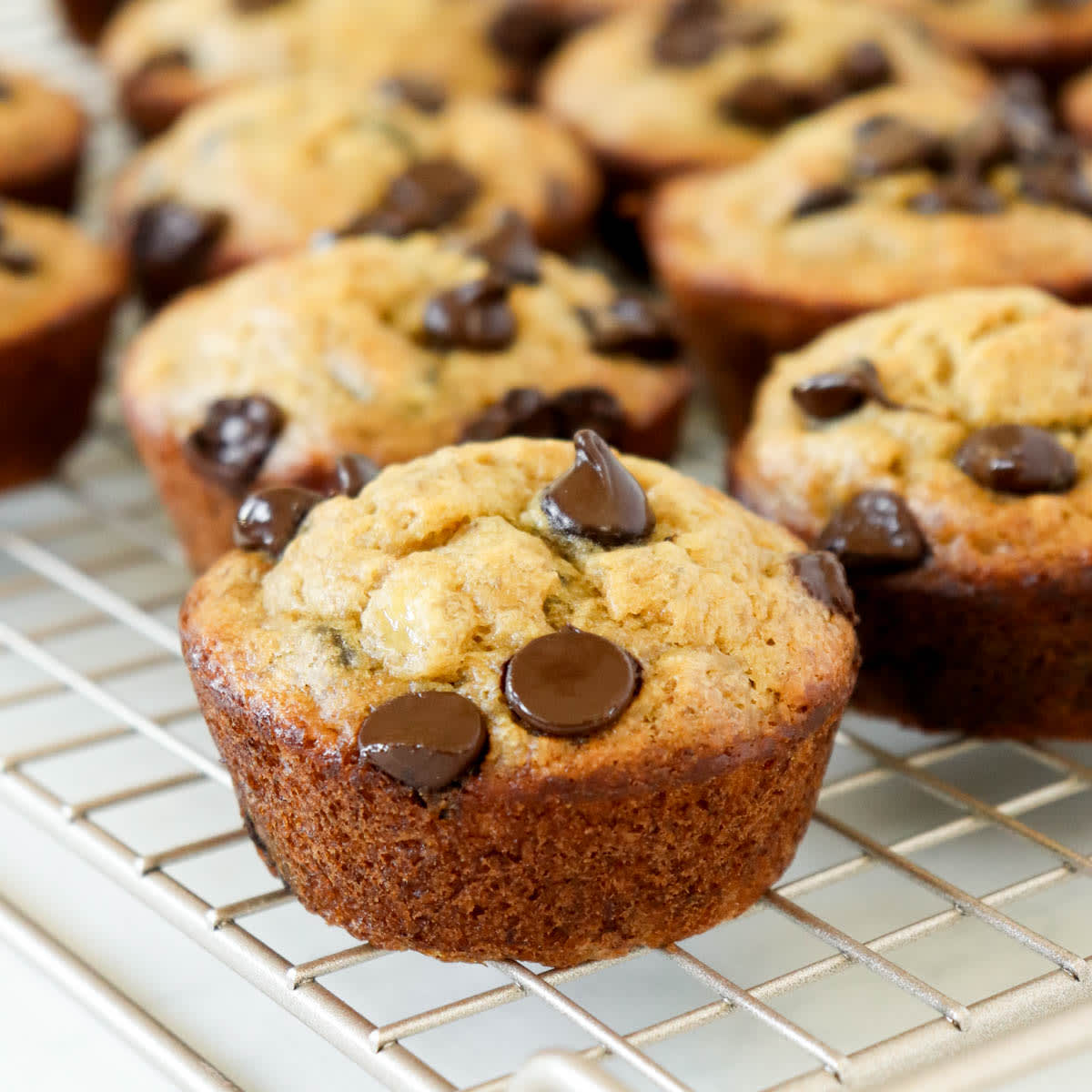 Chocolate Chip Banana Muffins
