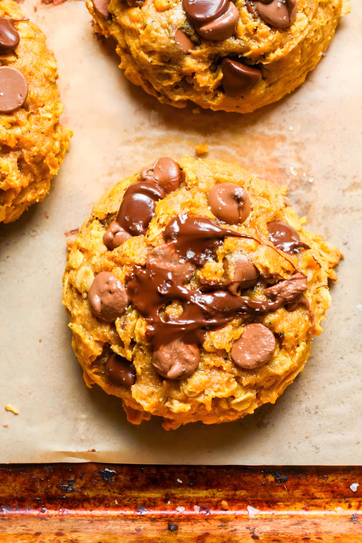 Pumpkin Oatmeal Chocolate Chip Cookies