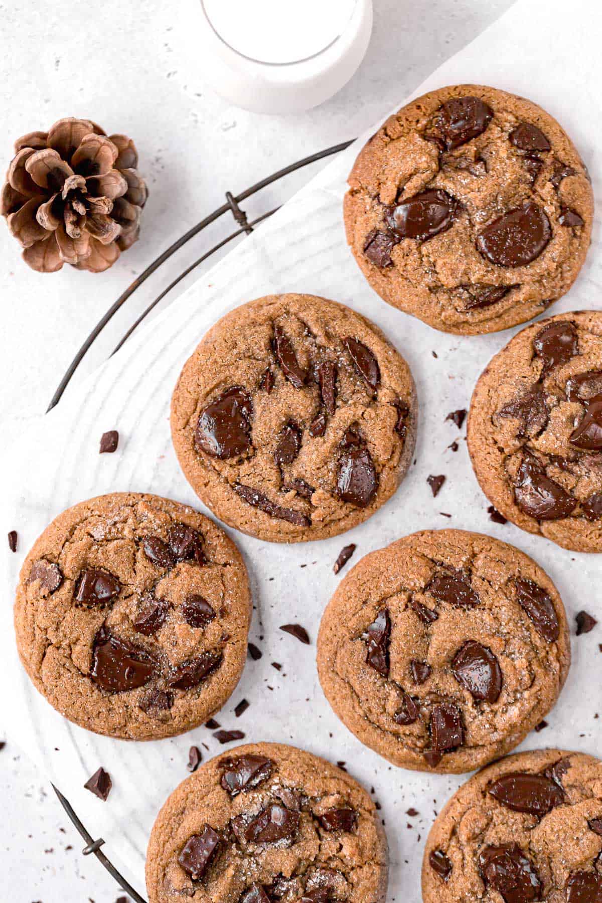 Chocolate Chip Molasses Cookies
