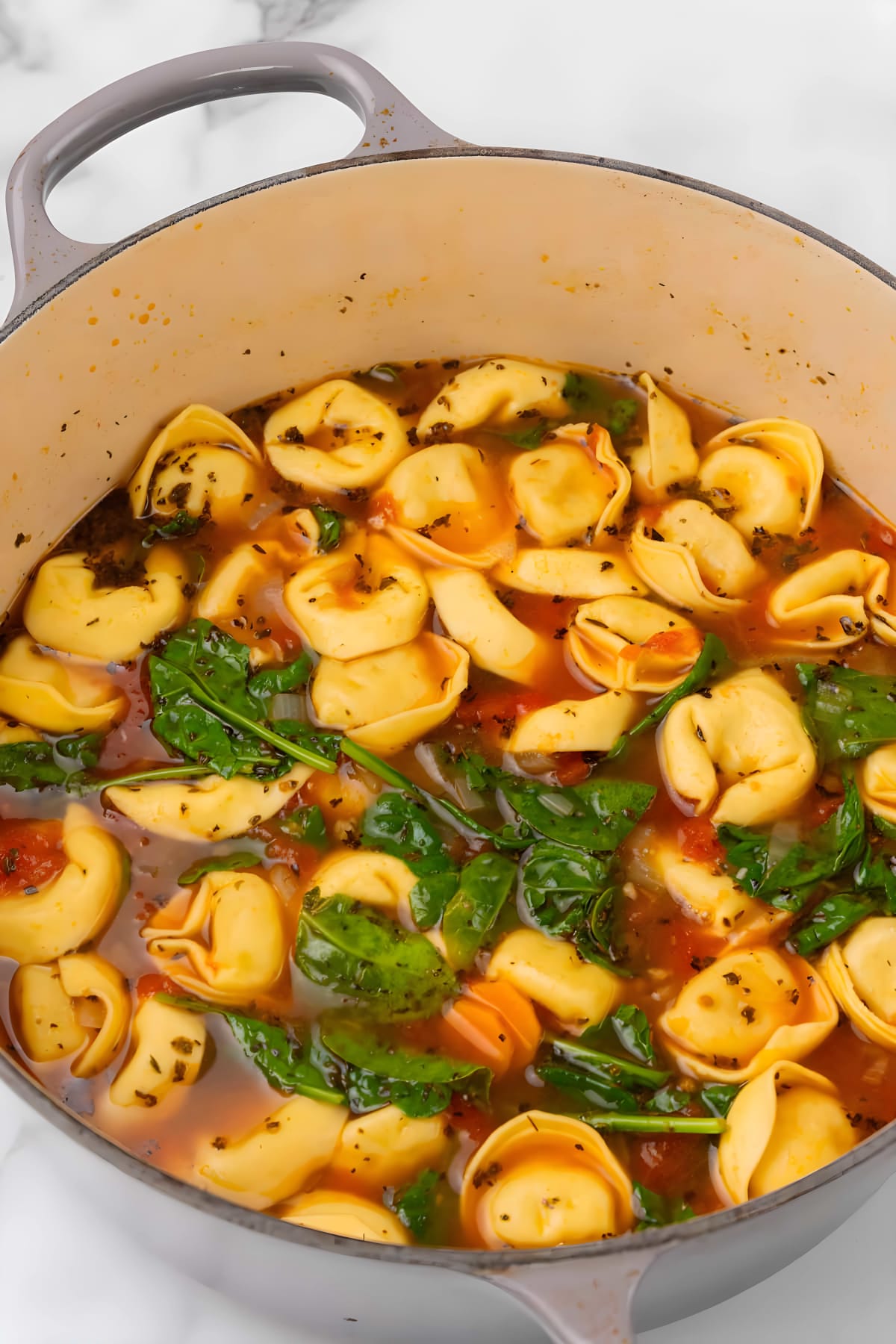 Tortellini Soup