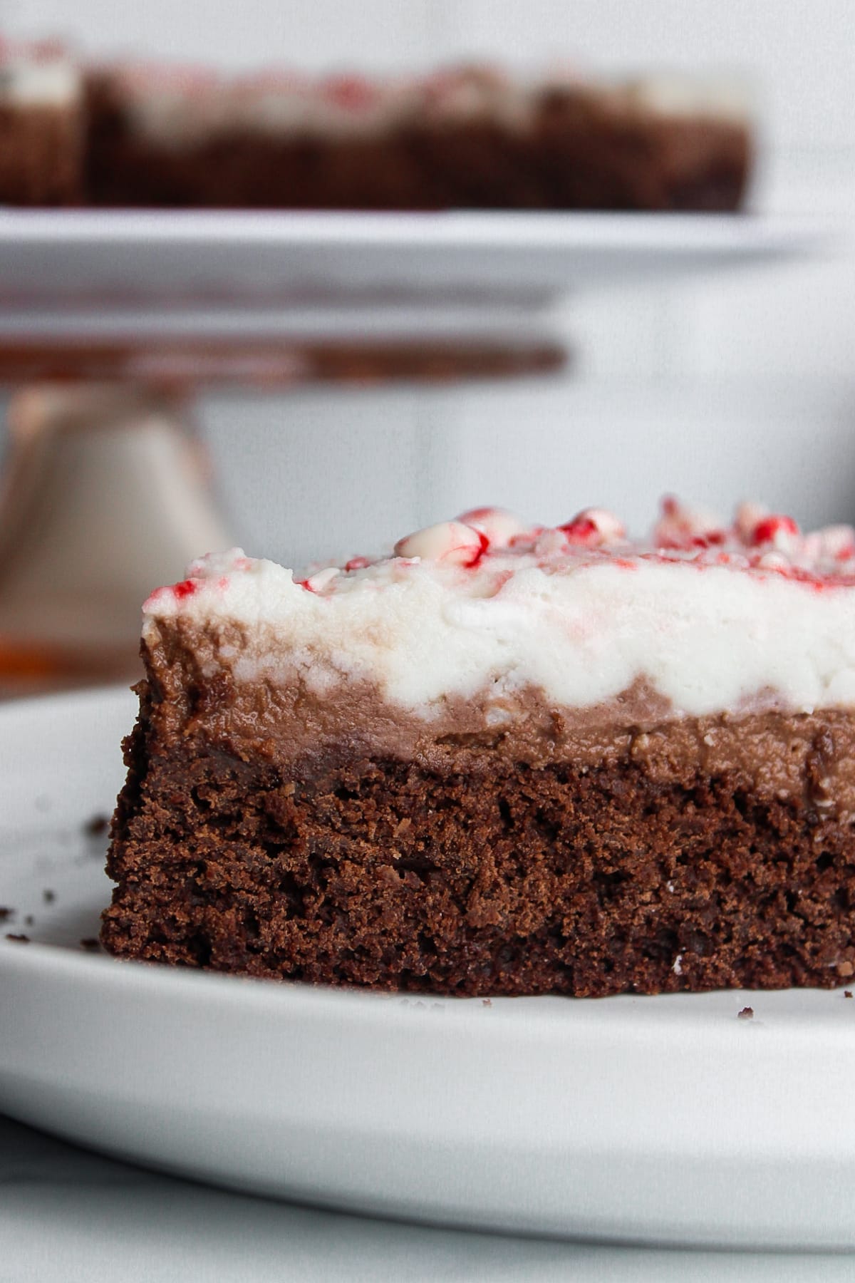 Vegan Peppermint Mocha Mousse Cake