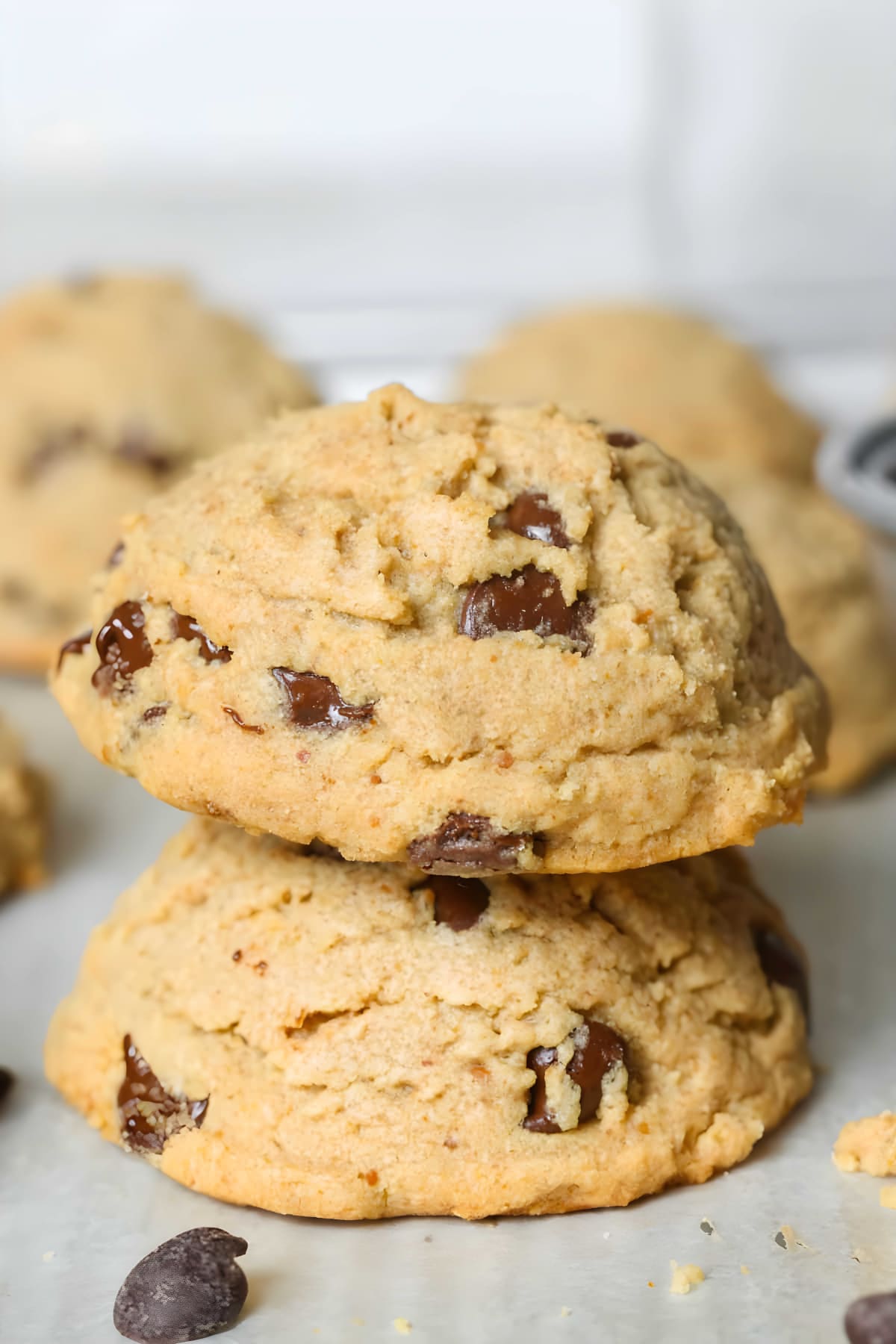 Peanut Butter Chocolate Chip Cookies