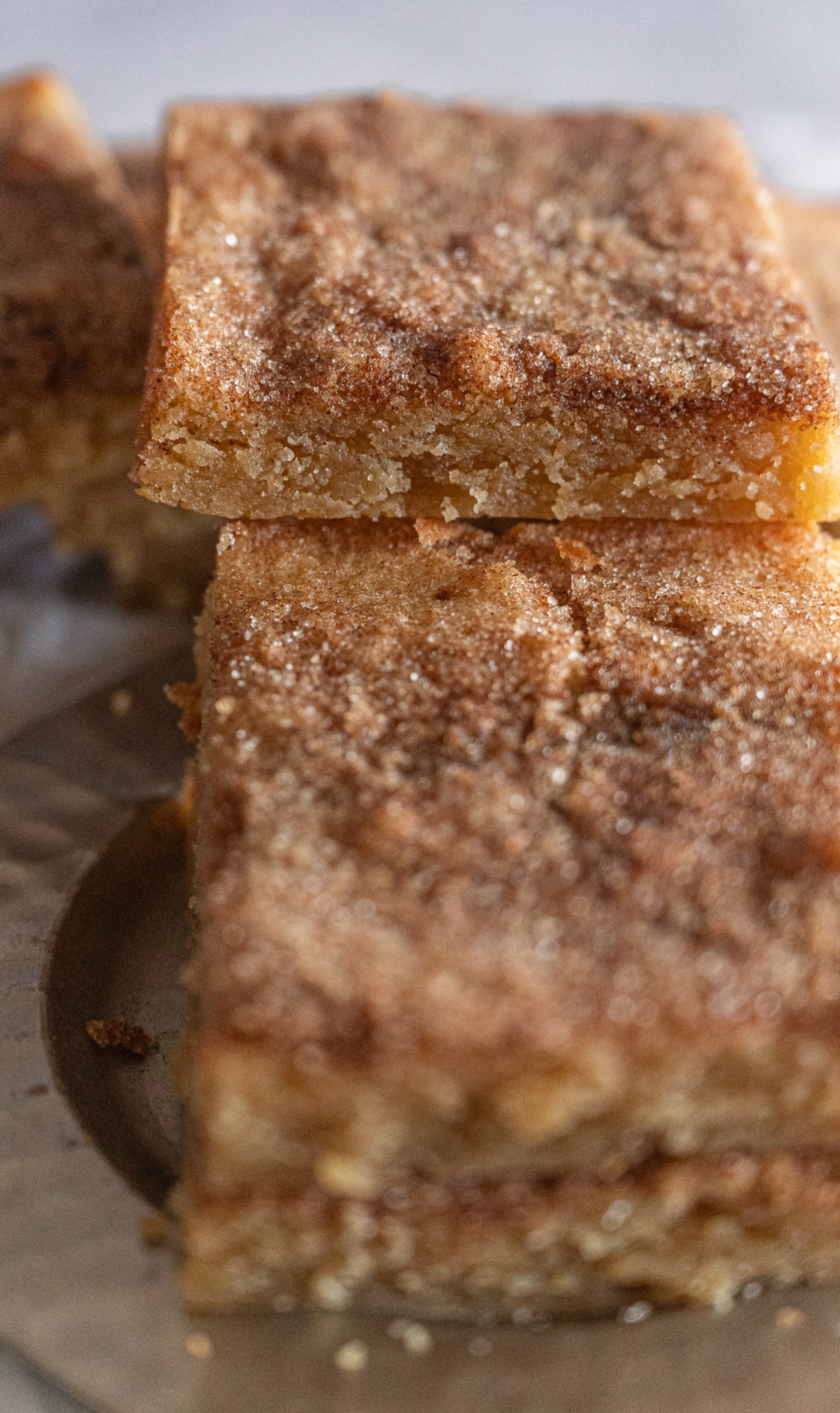 Brown Butter Snickerdoodle Blondies